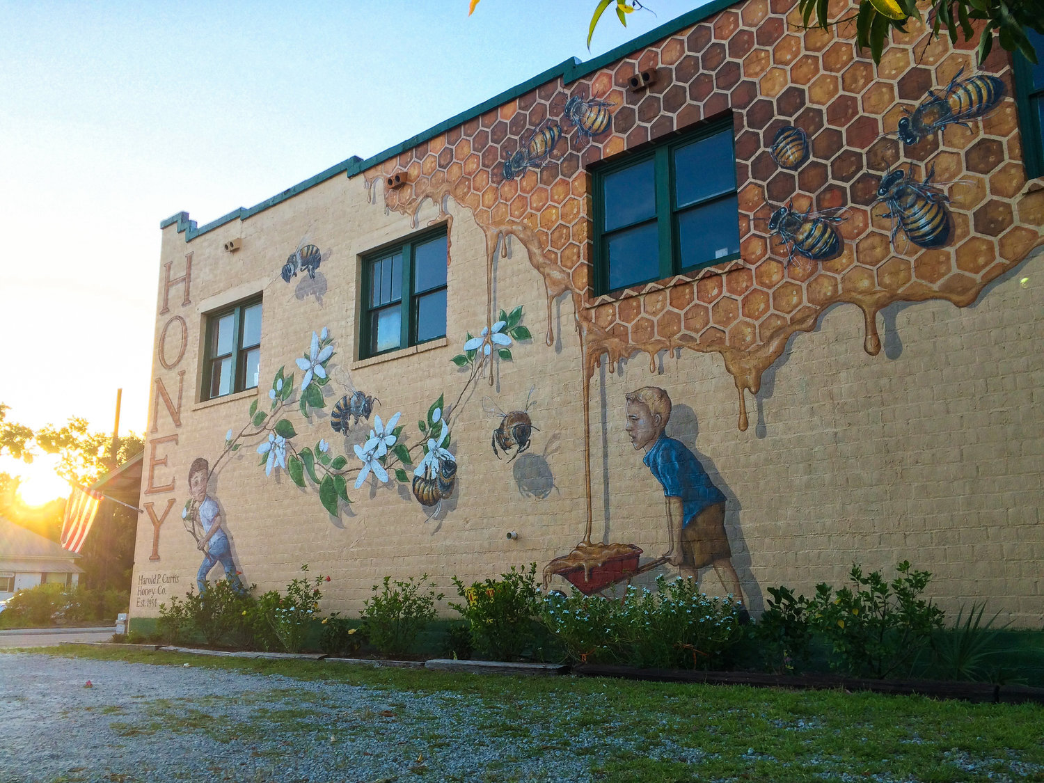 The completed mural with the sun behind it