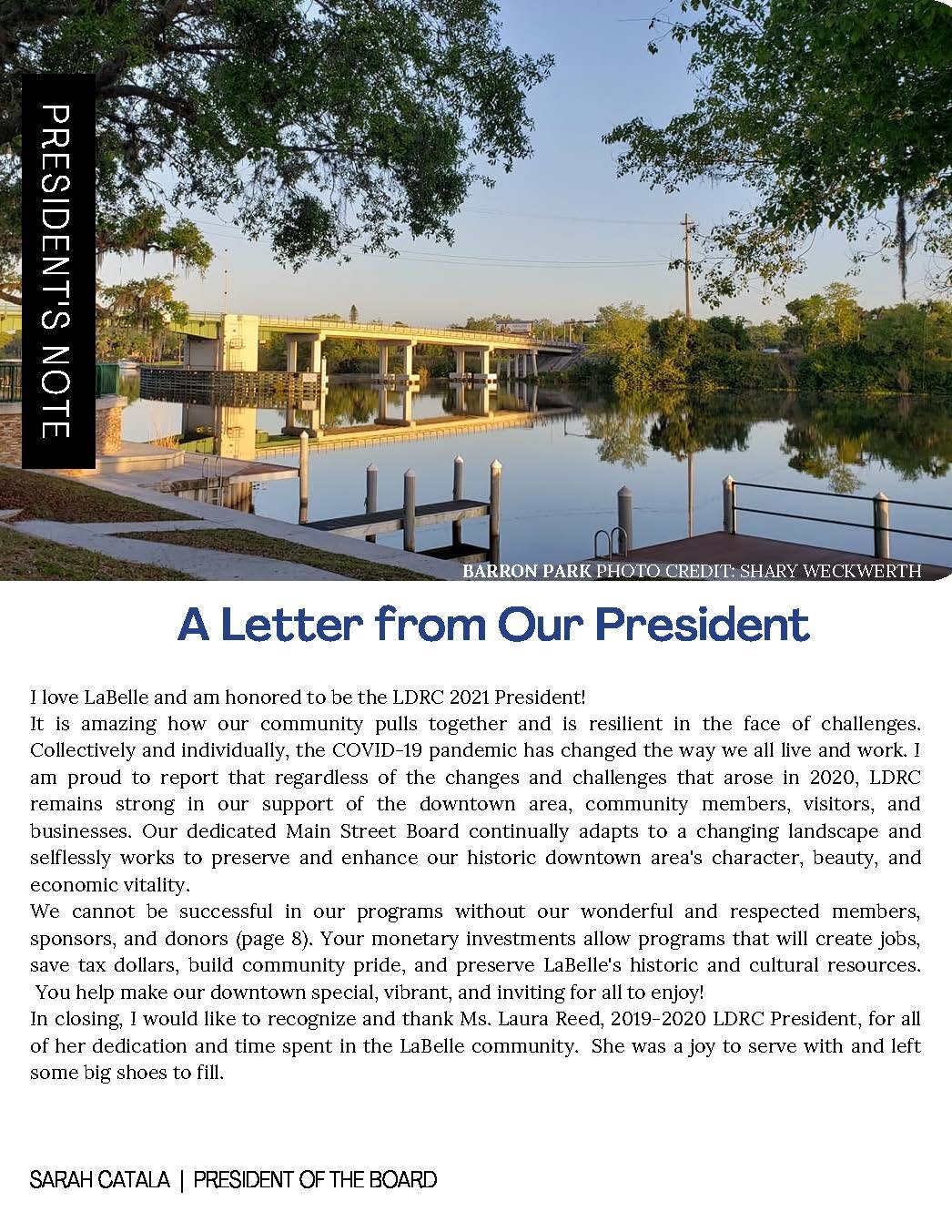 LDRC 201920 Annual Report (1)_Page_2.jpg