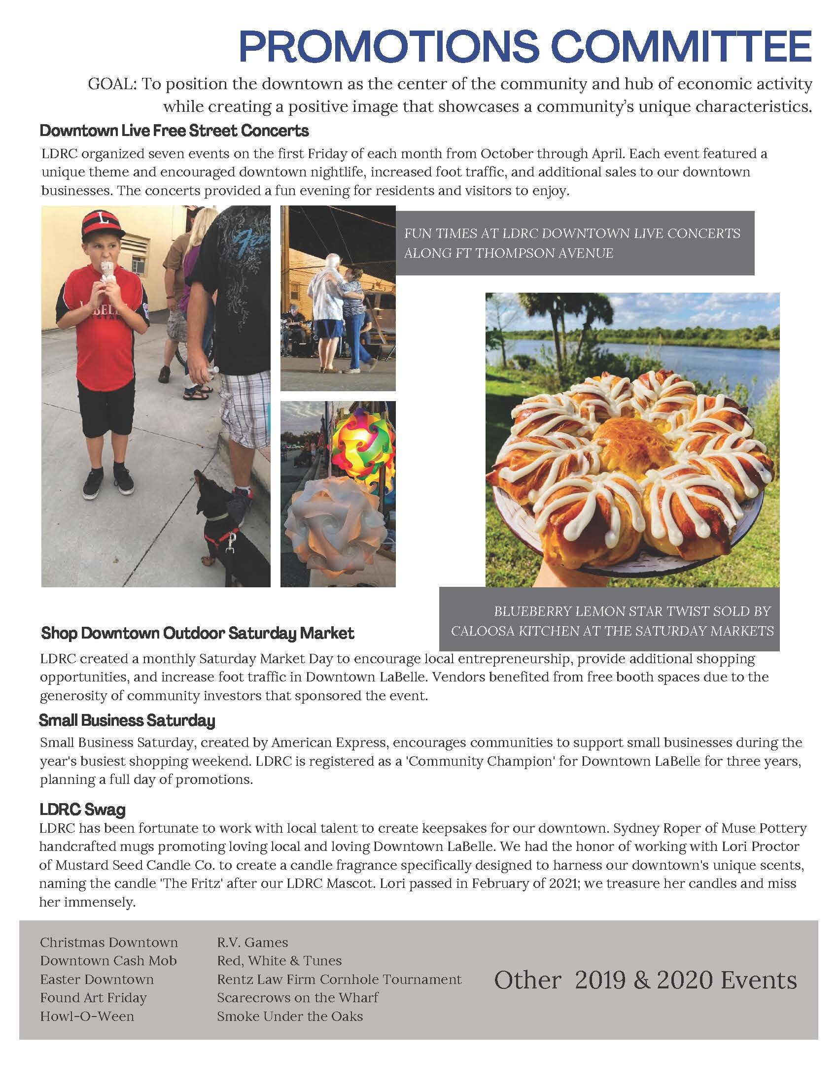 LDRC 201920 Annual Report (1)_Page_6.jpg