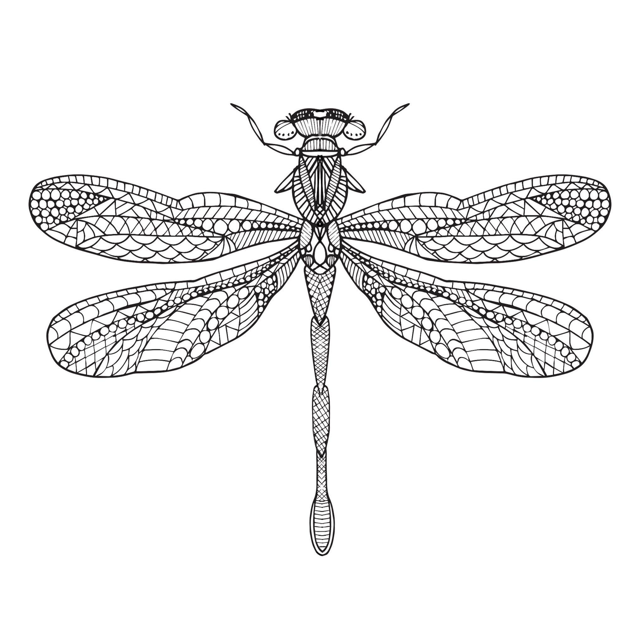 mom-books-emilyhamilton,-dragonfly.jpg