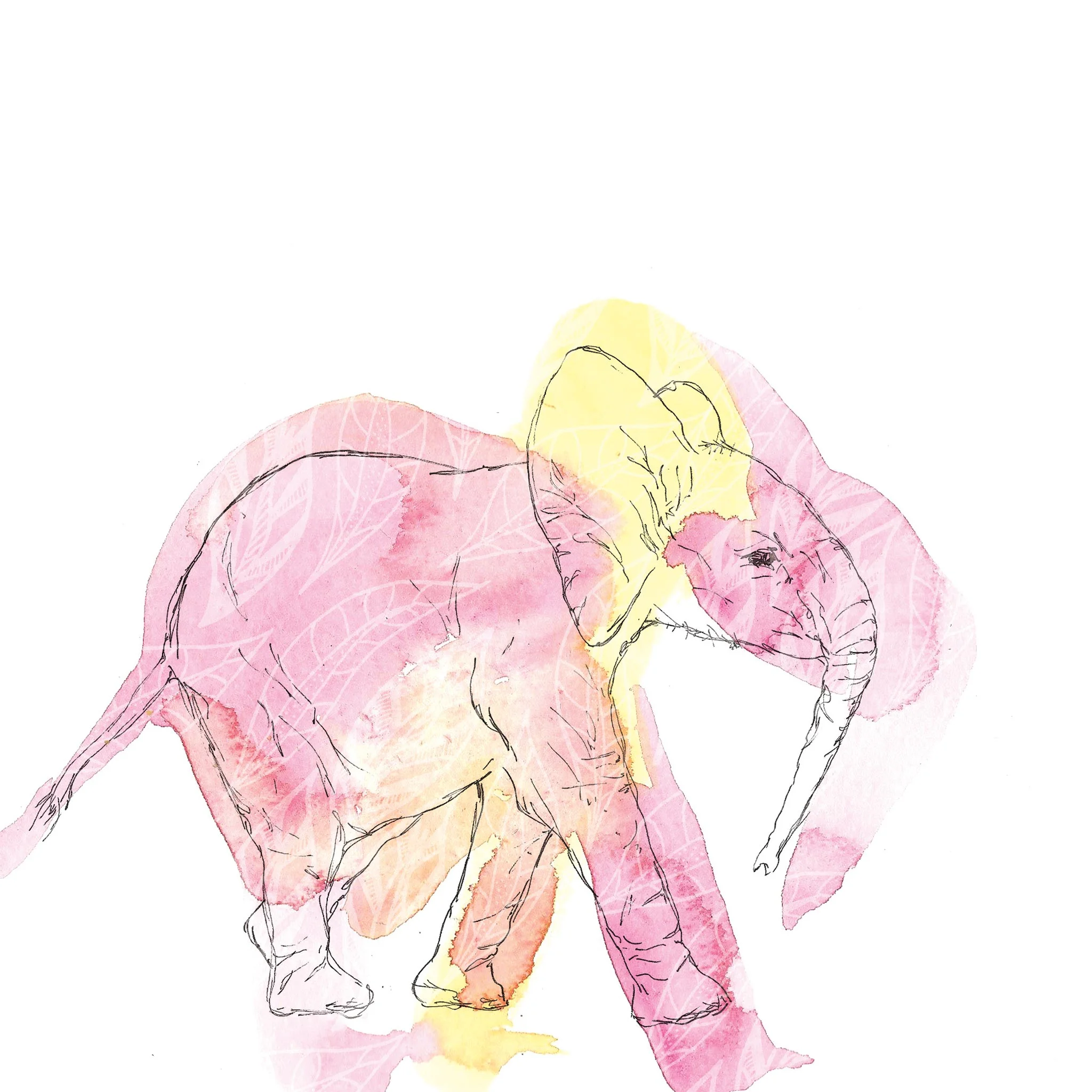 baby-elephant.jpg