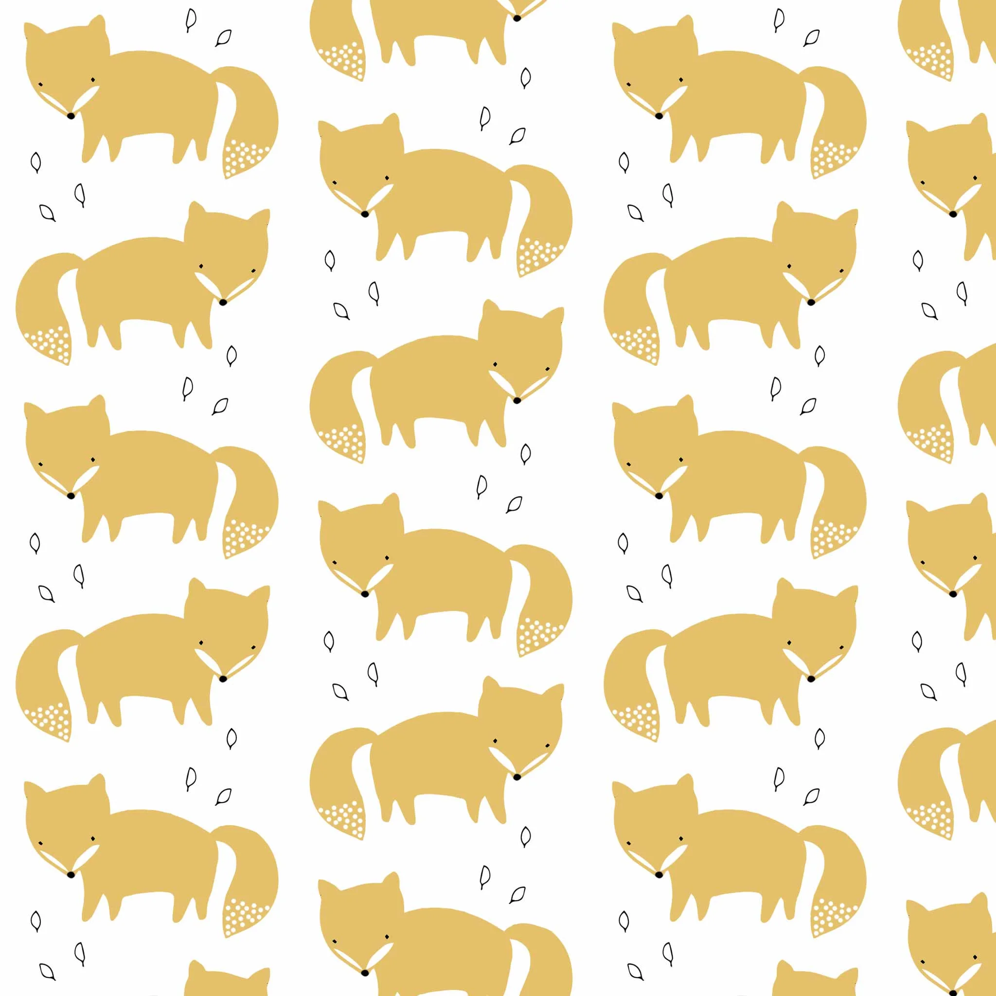 foxes.jpg
