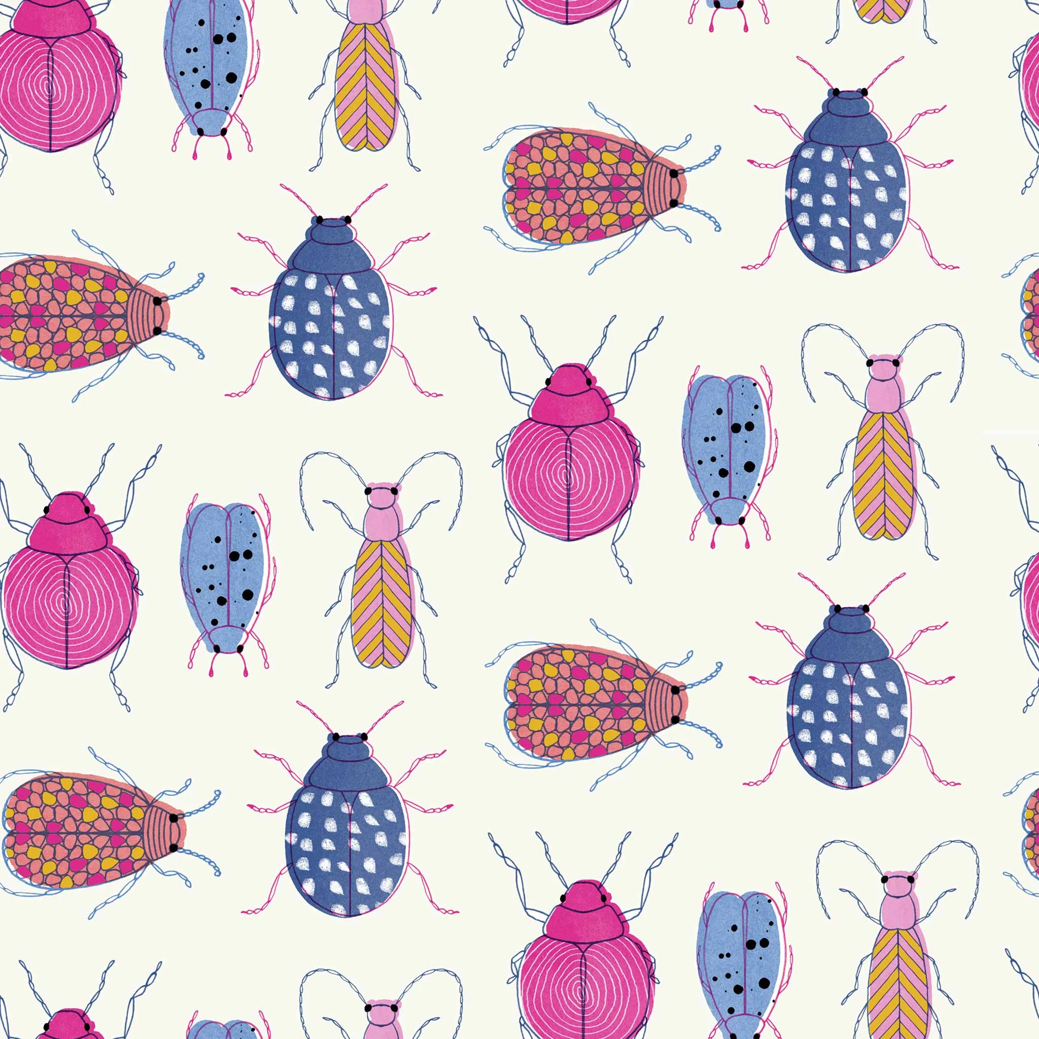 Beetles-&-Bugs.jpg