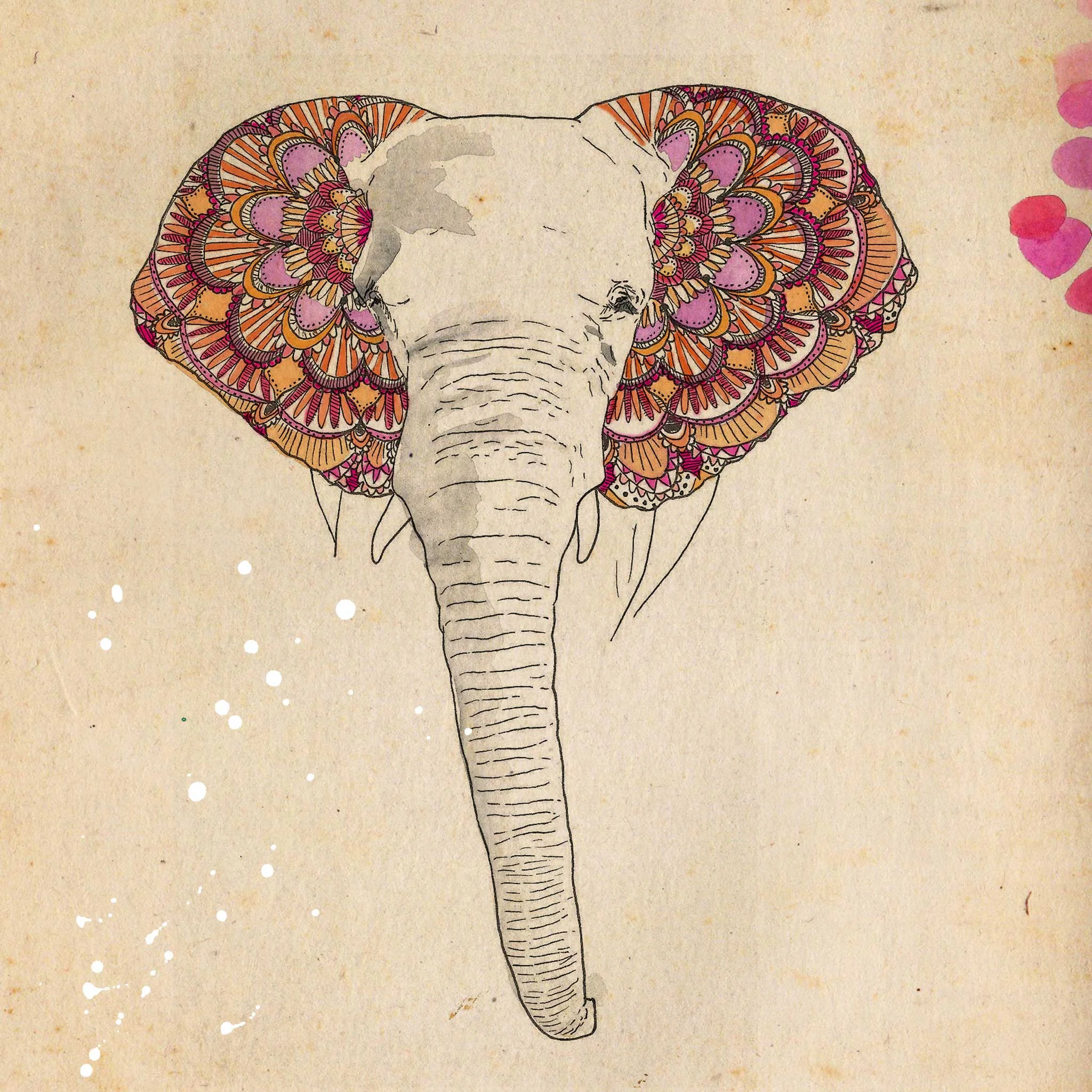 elephantine.jpg