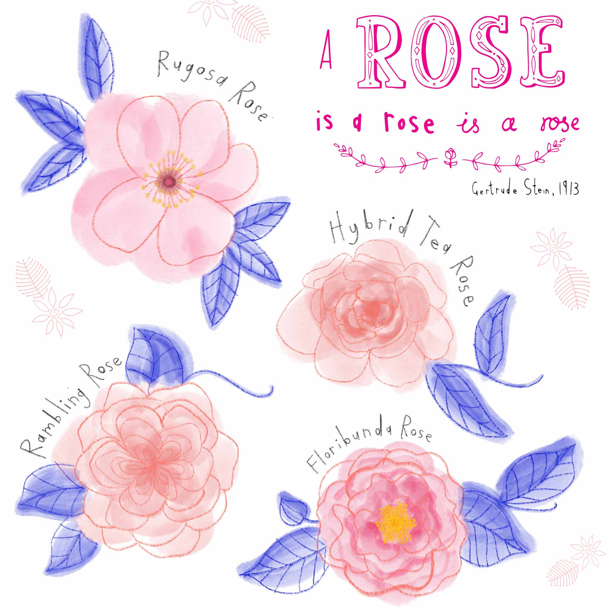 A-rose-is-a-rose.jpg