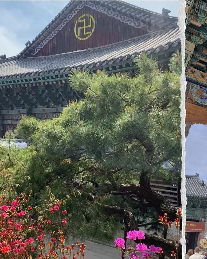 South Korea tripping with my eldest love - 4 days, nearly 90,000 steps &amp; some tired old feet, exploring all the nooks &amp; crannies of Seoul we could get our hands on from crazy street markets to ancient temples, beautiful cherry blossoms, sky r