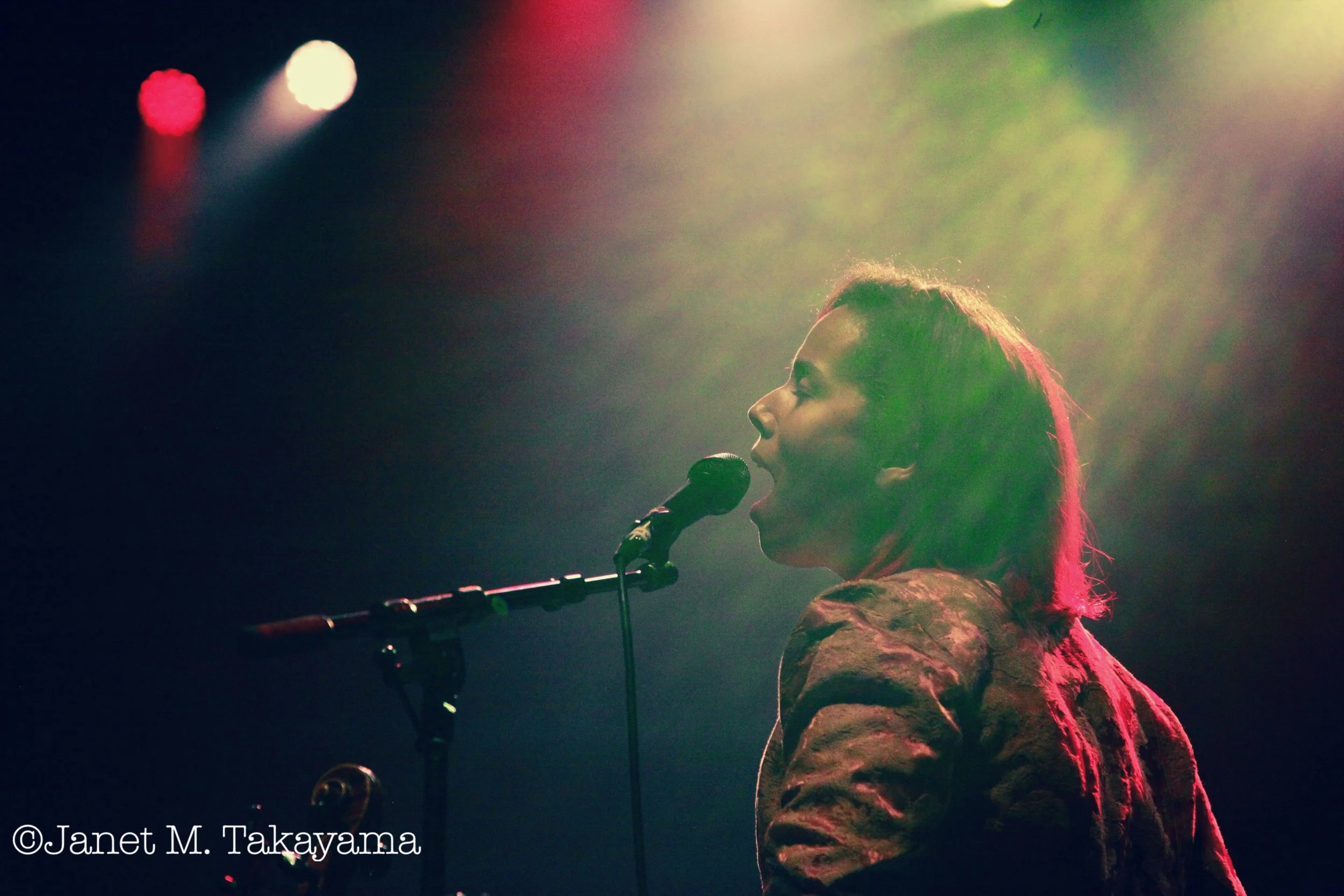 Rhiannon Giddens