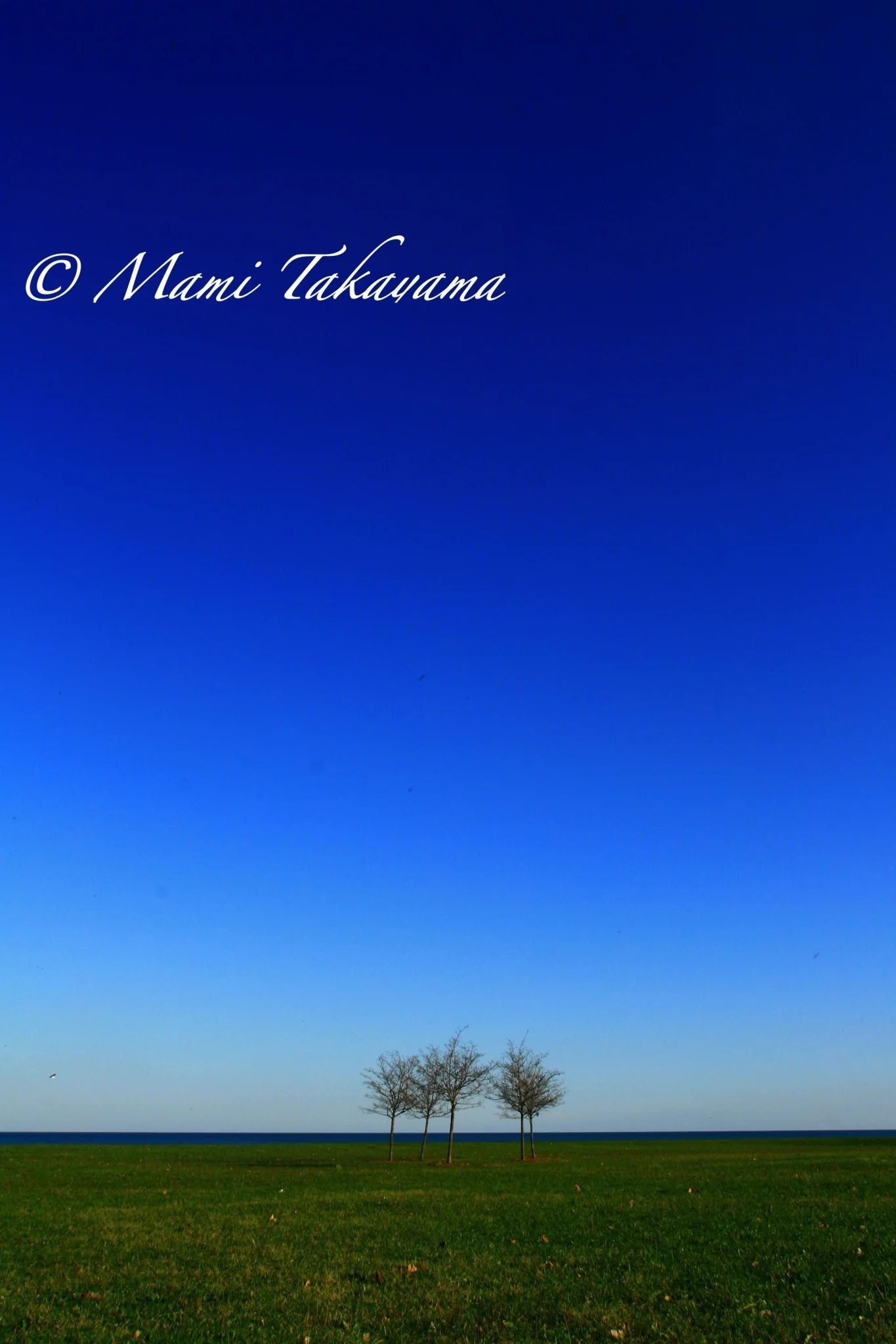 Seasons-Autumn-3.jpg