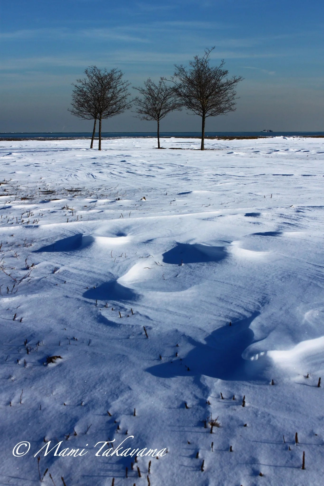 Seasons-Winter-1.jpg