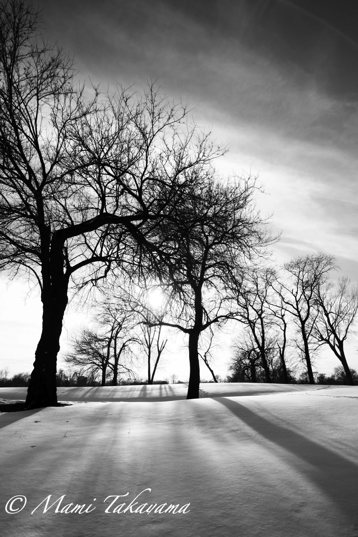 Seasons-Winter-2.jpg