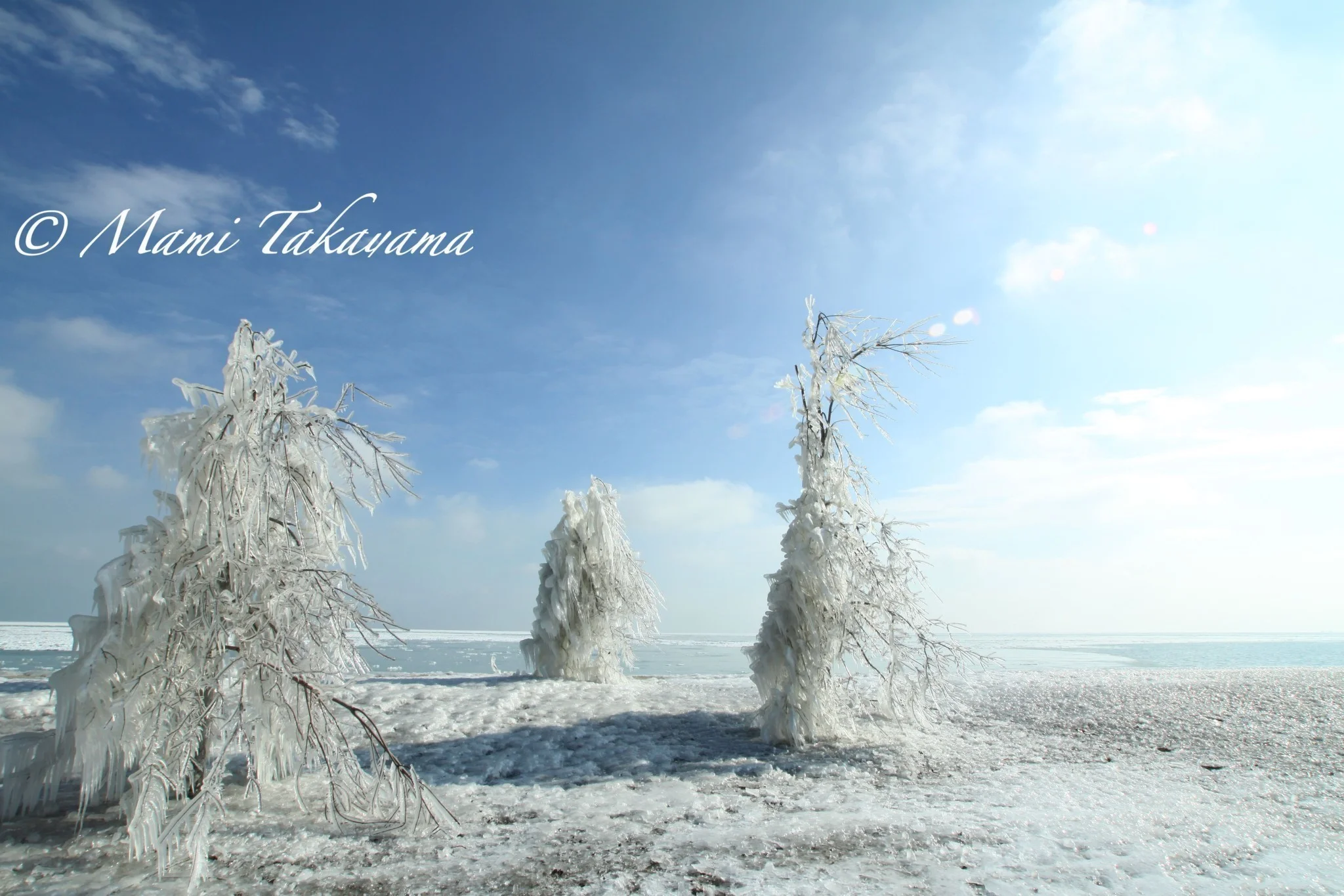 Seasons-Winter-7.jpg