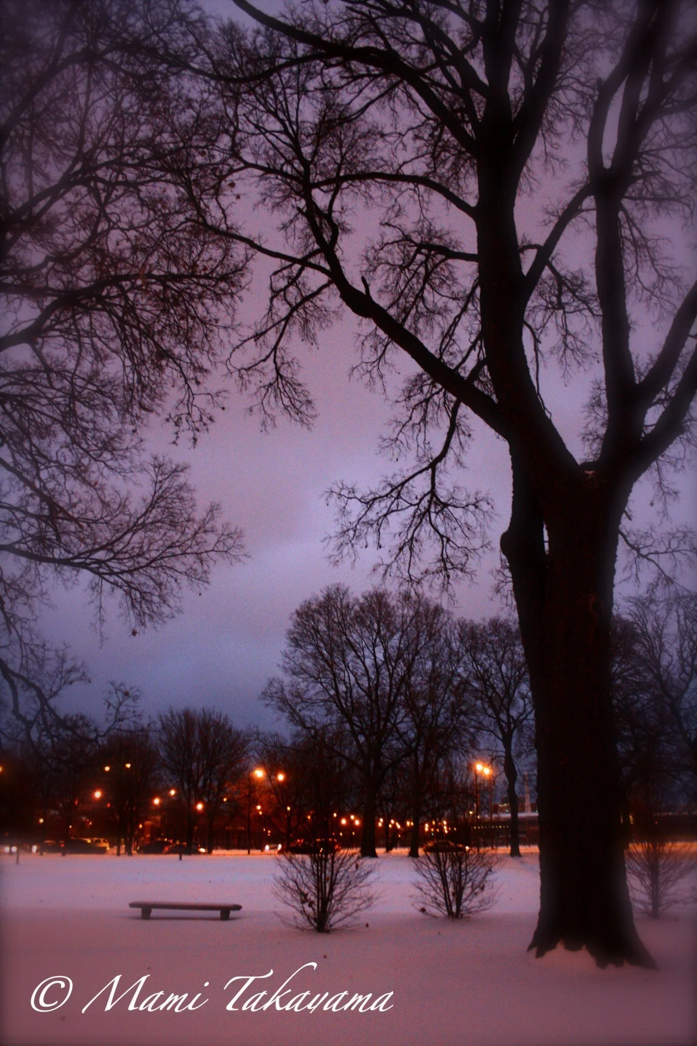 Seasons-Winter-14.jpg