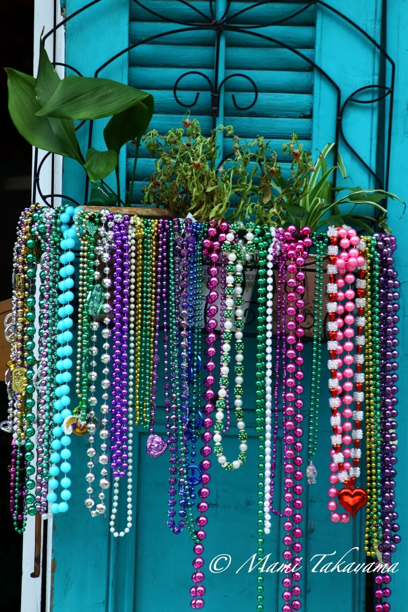 NAWLINS-7.jpg