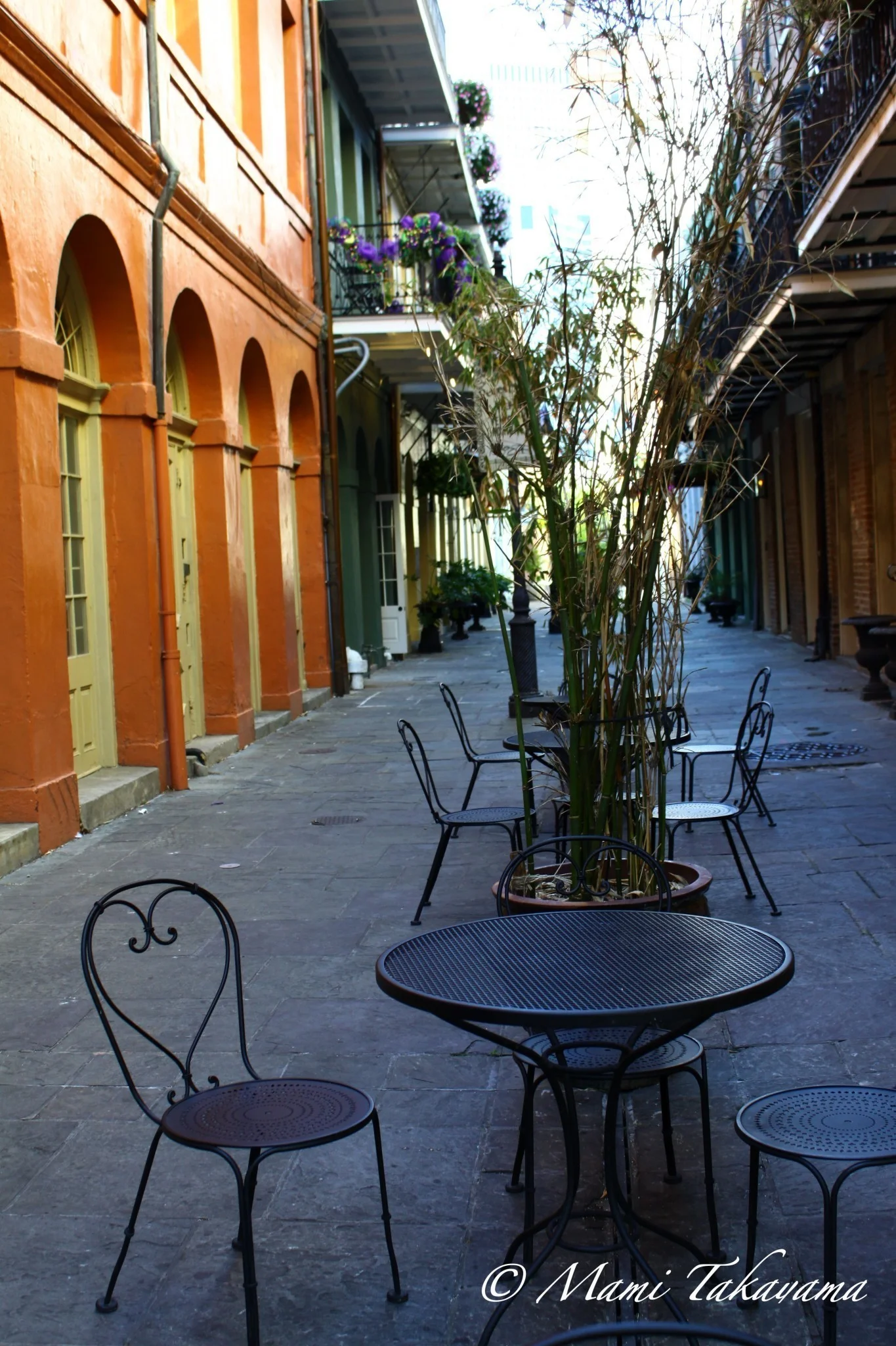 NAWLINS-26.jpg