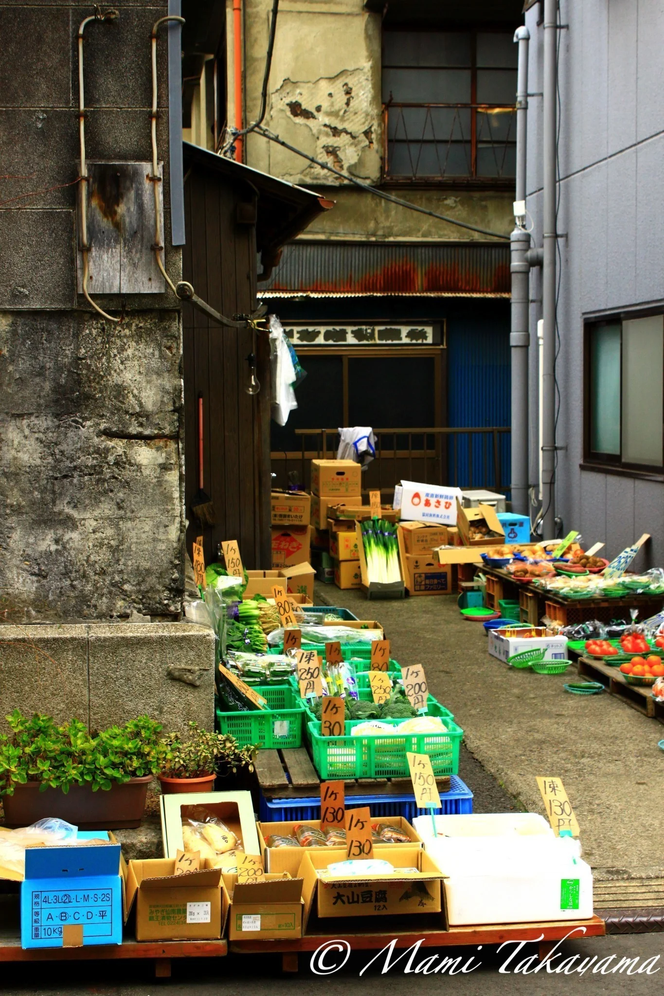 Iriya 入谷