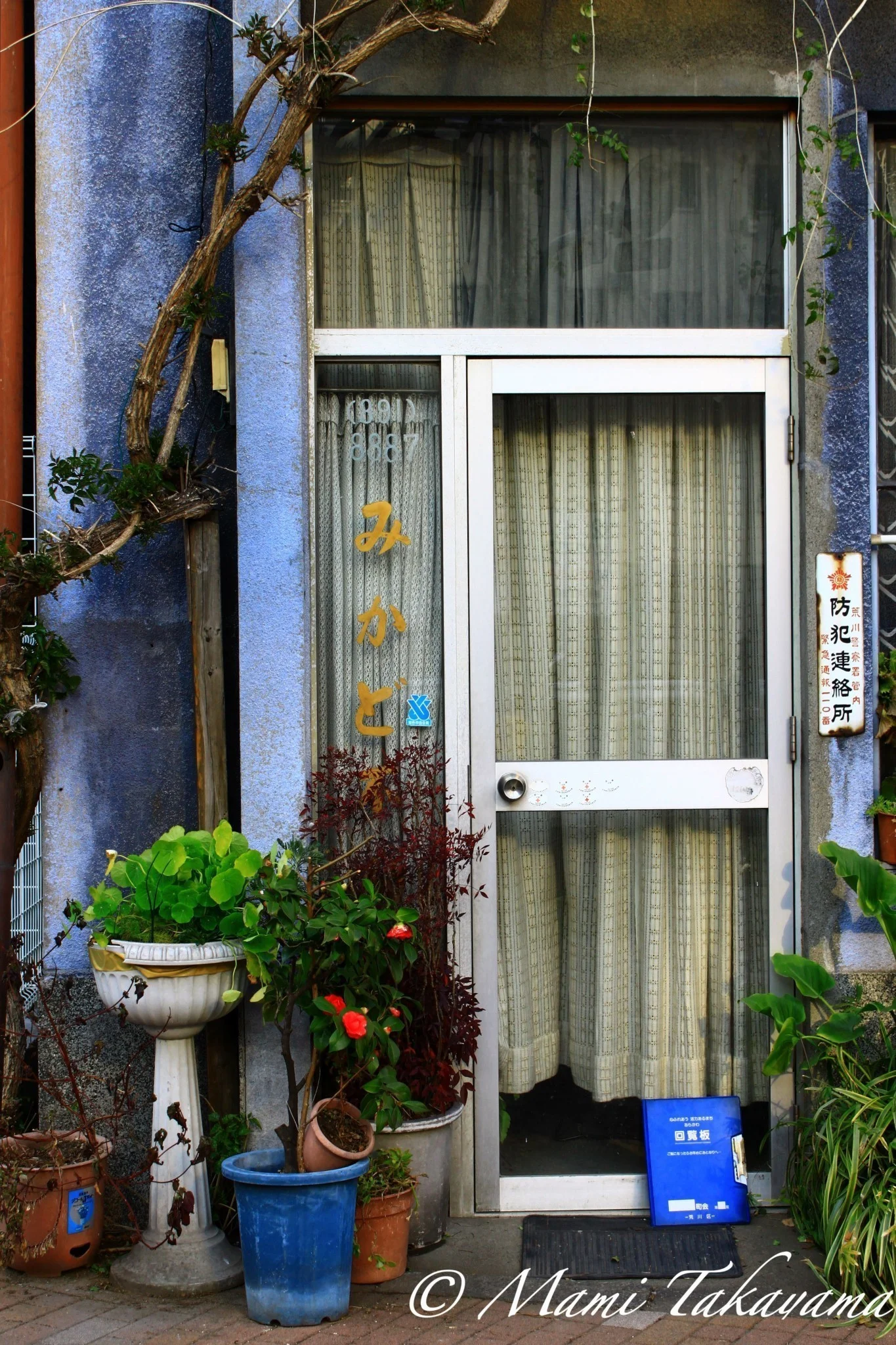 Negishi 根岸