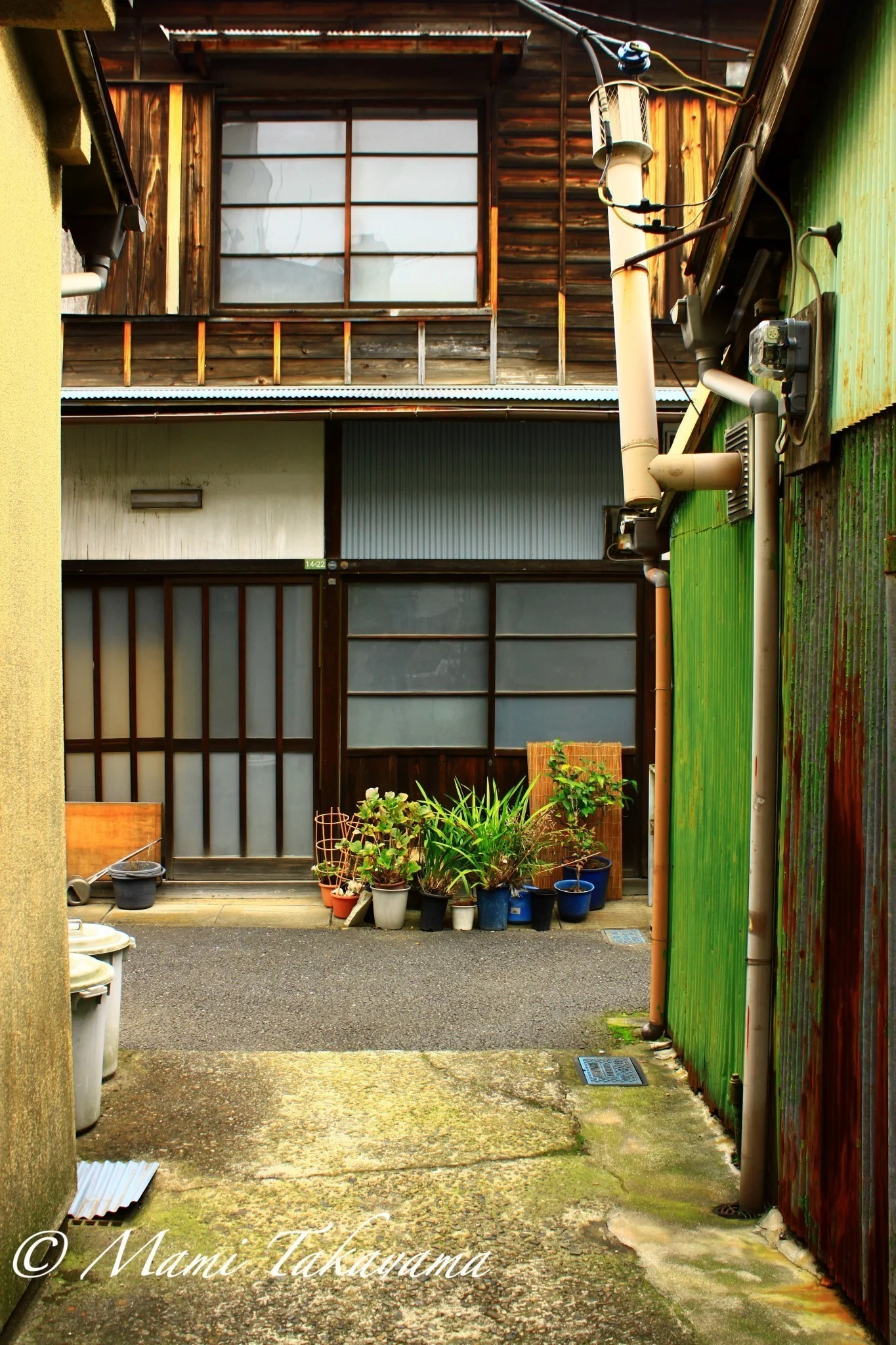 Nezu 根津