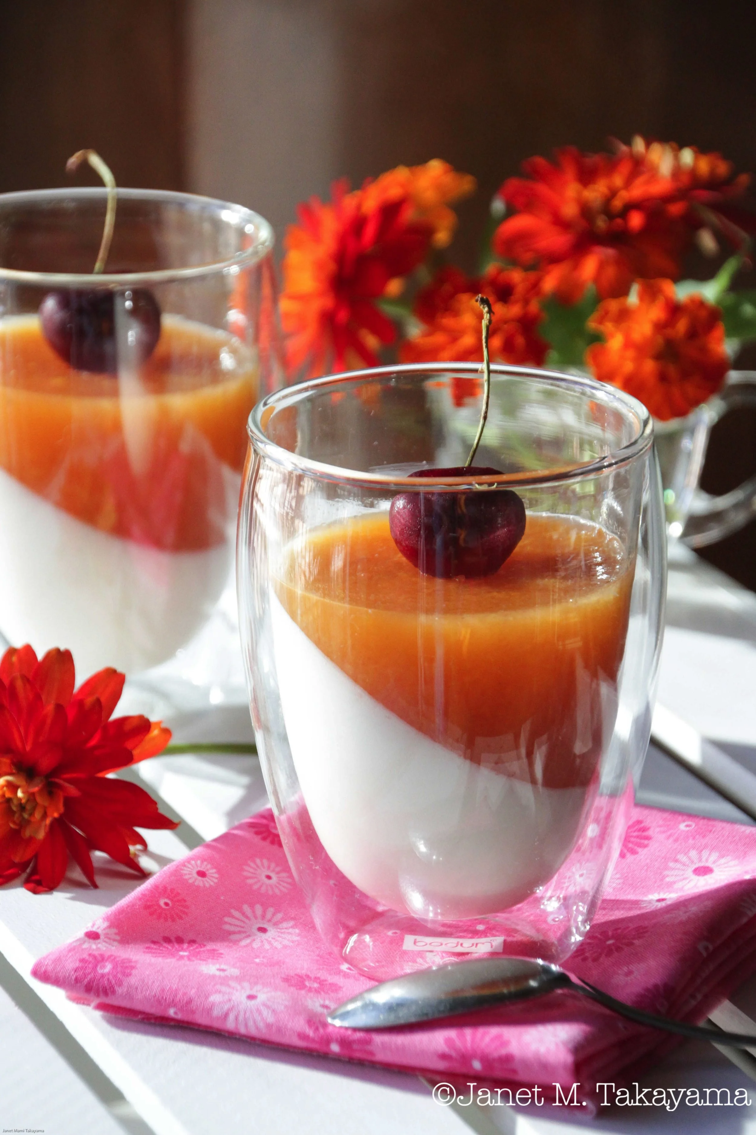 Yogurt Mousse and Plum Jelly