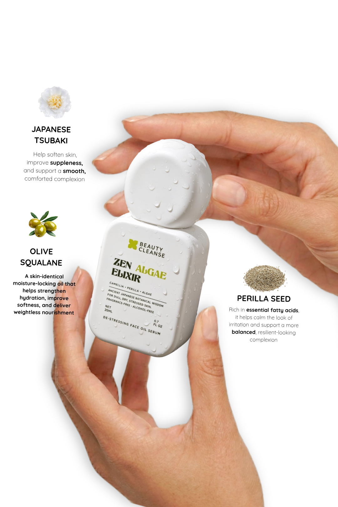 seekd beauty cleanse (3).png