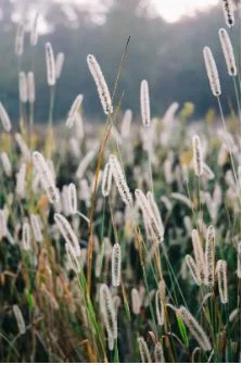 Our trend insights ~ keeping it chic and real! 