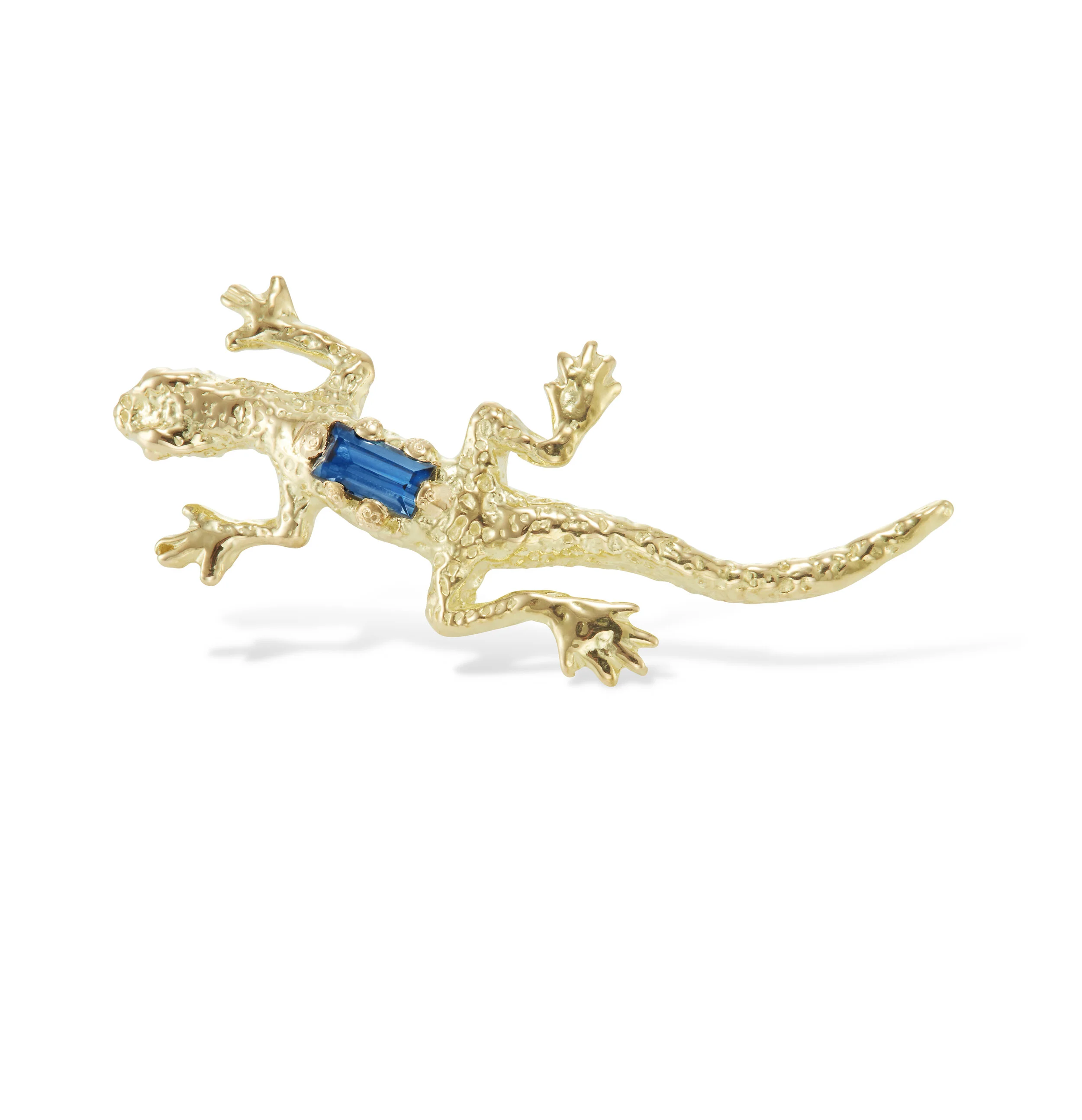 Clio_Saskia_Lizard Ear Climber.jpeg