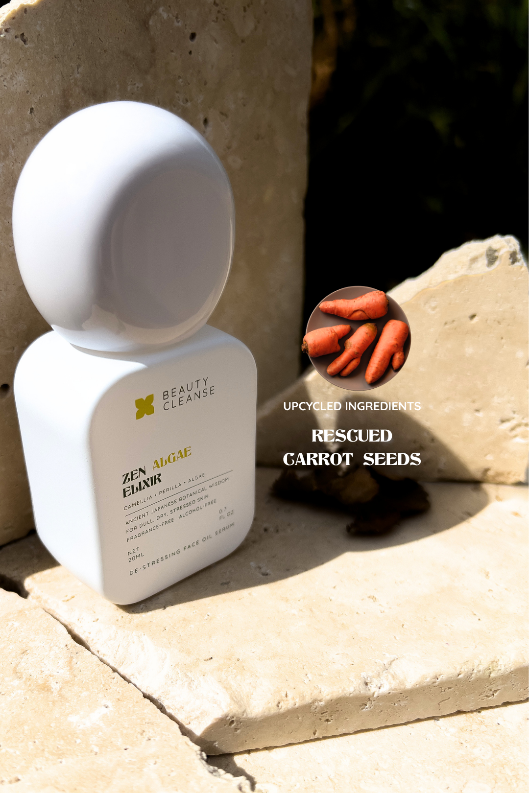 seekd beauty cleanse (4).png
