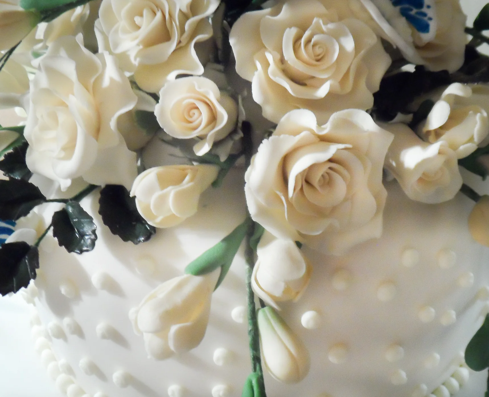 Web PhotosCaked-301.jpg