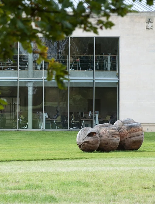 Nut (2011) . A corporate head office, UK. Photo: Jacqui Hurst
