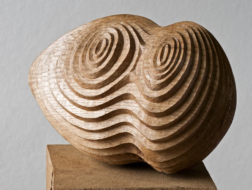 Concentra II, Hearts of Oak, solo show (2015) . Bedales Gallery, Hampshire, UK . Photo: Jacqui Hurst