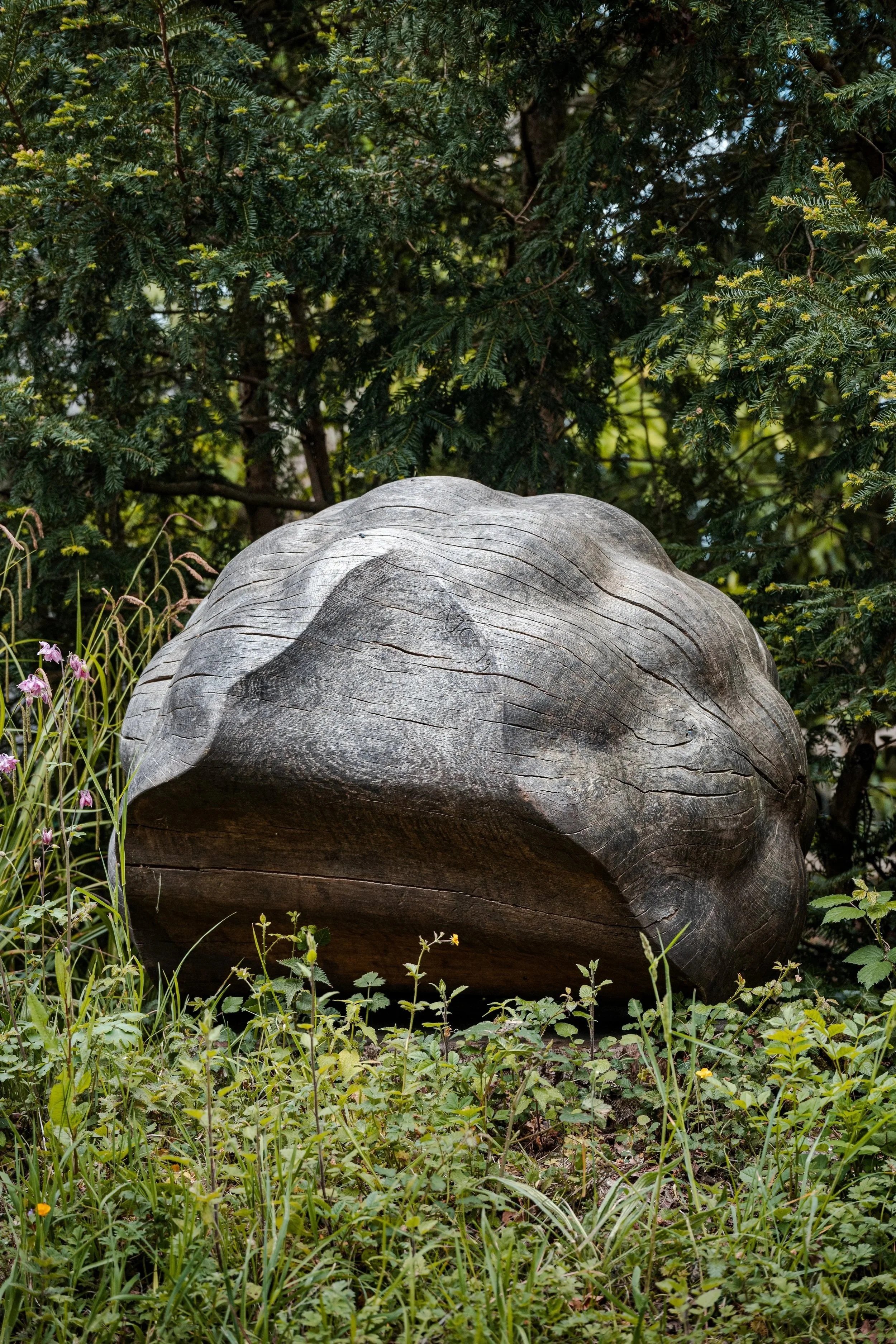 Xylosphere II (weathered)