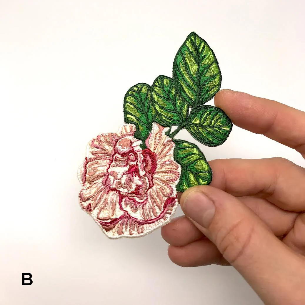 right_Clitoria_pink.jpg