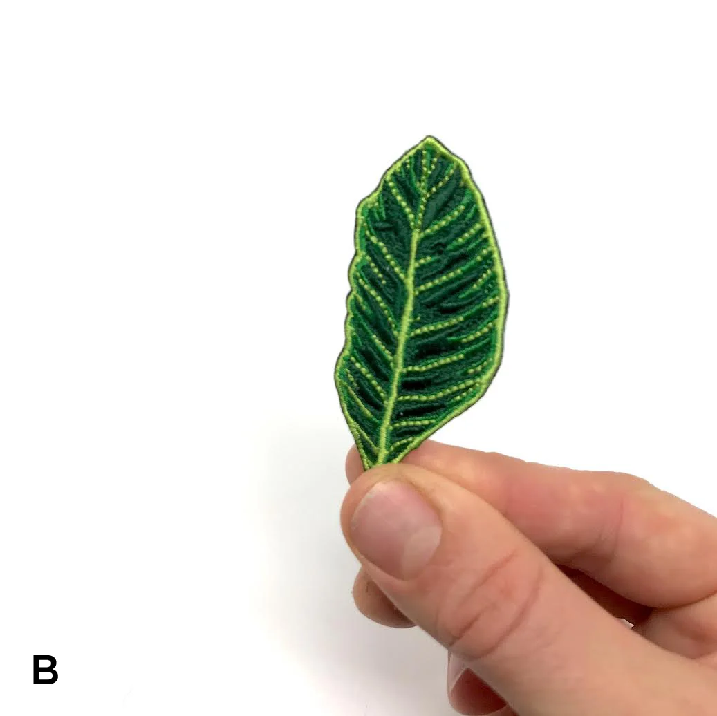 right_leaf_1.jpg