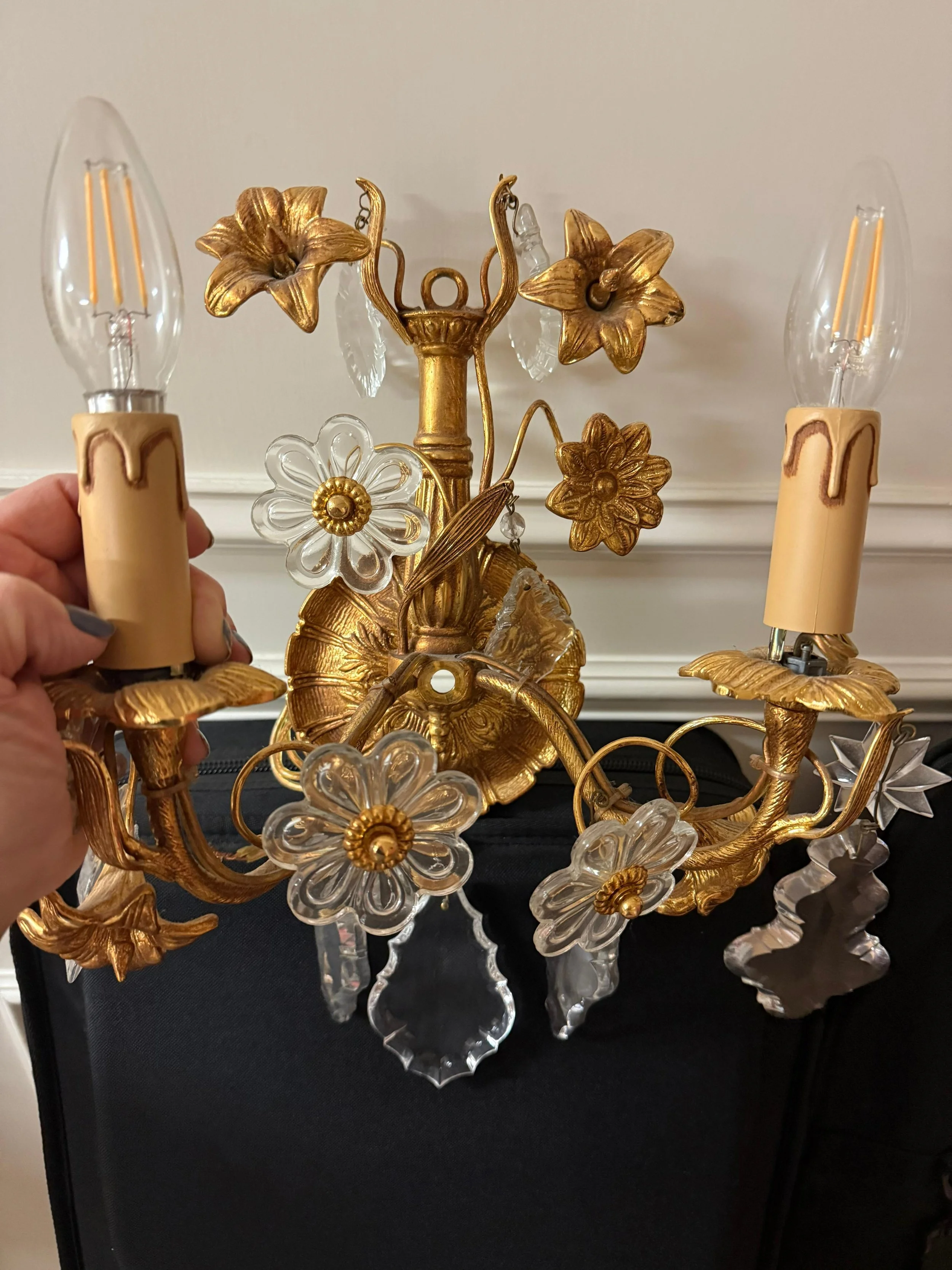 WhatsApp Image 2026-02-10 at 1.24.34 PM.jpeg