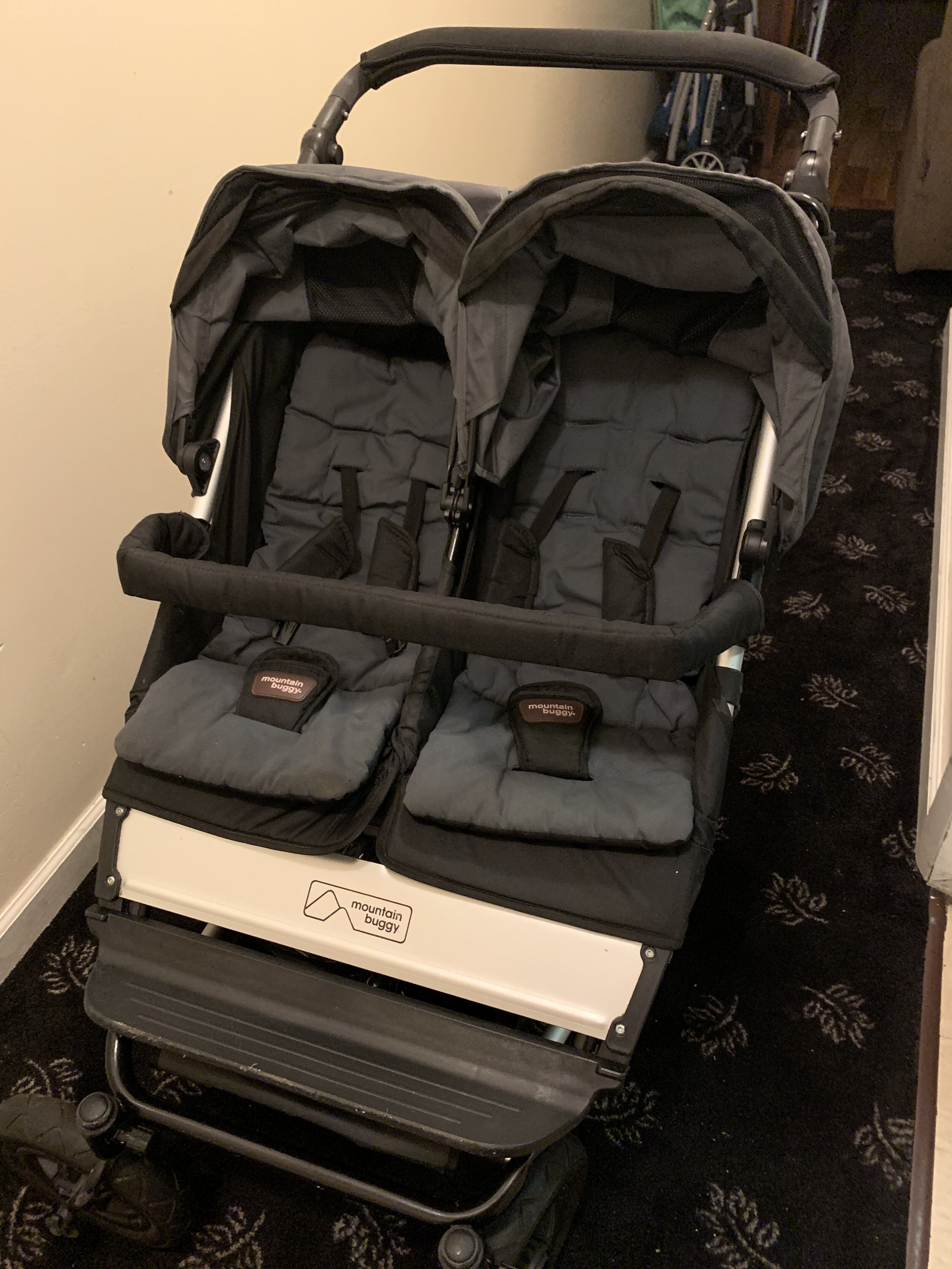 Mountain Buggy Double Stroller