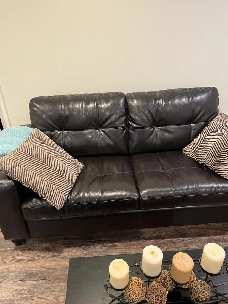 Leather Couch With Pull Out Bed