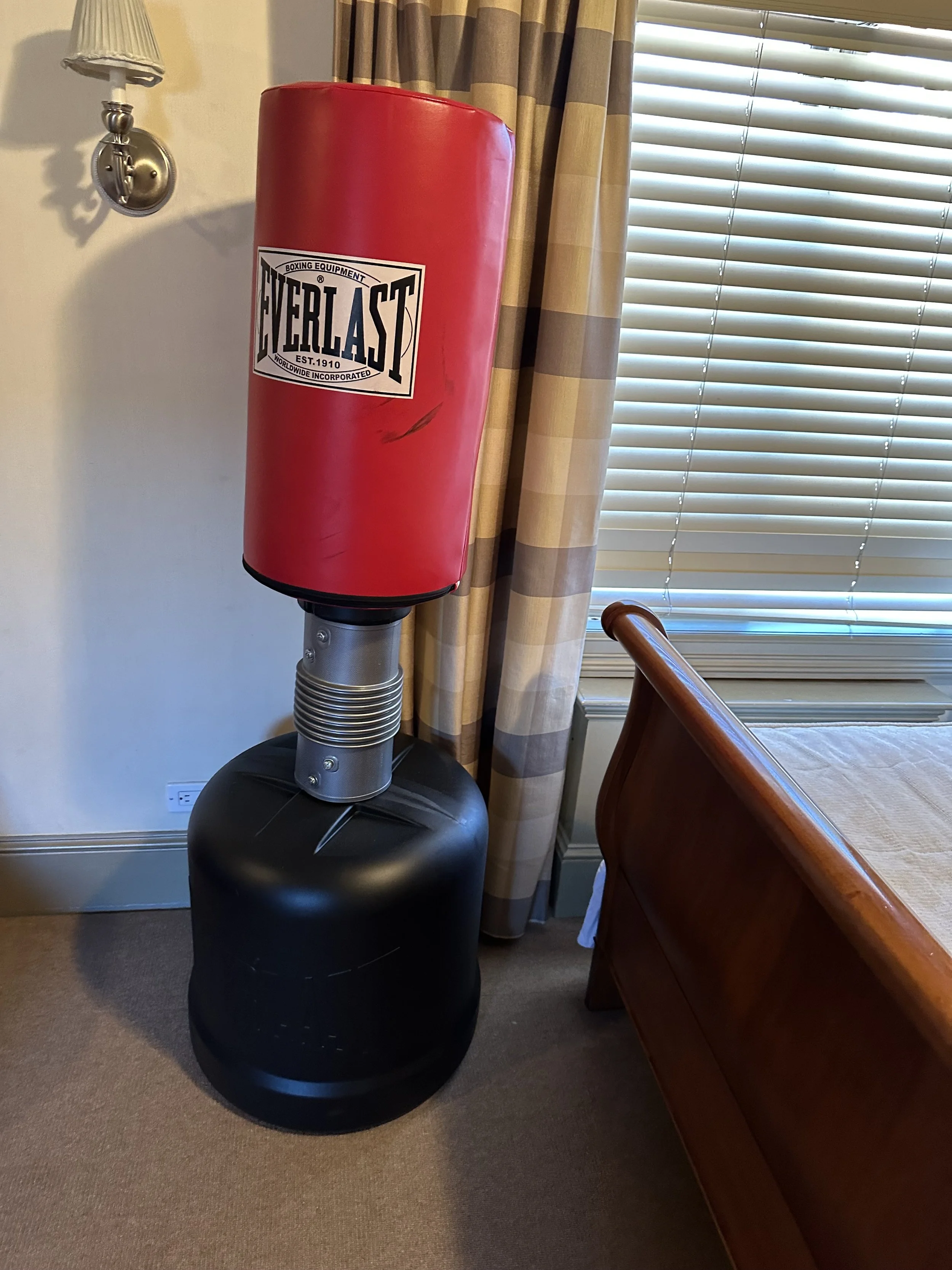 Everlast Punching Bag — Furniture Matchmaker