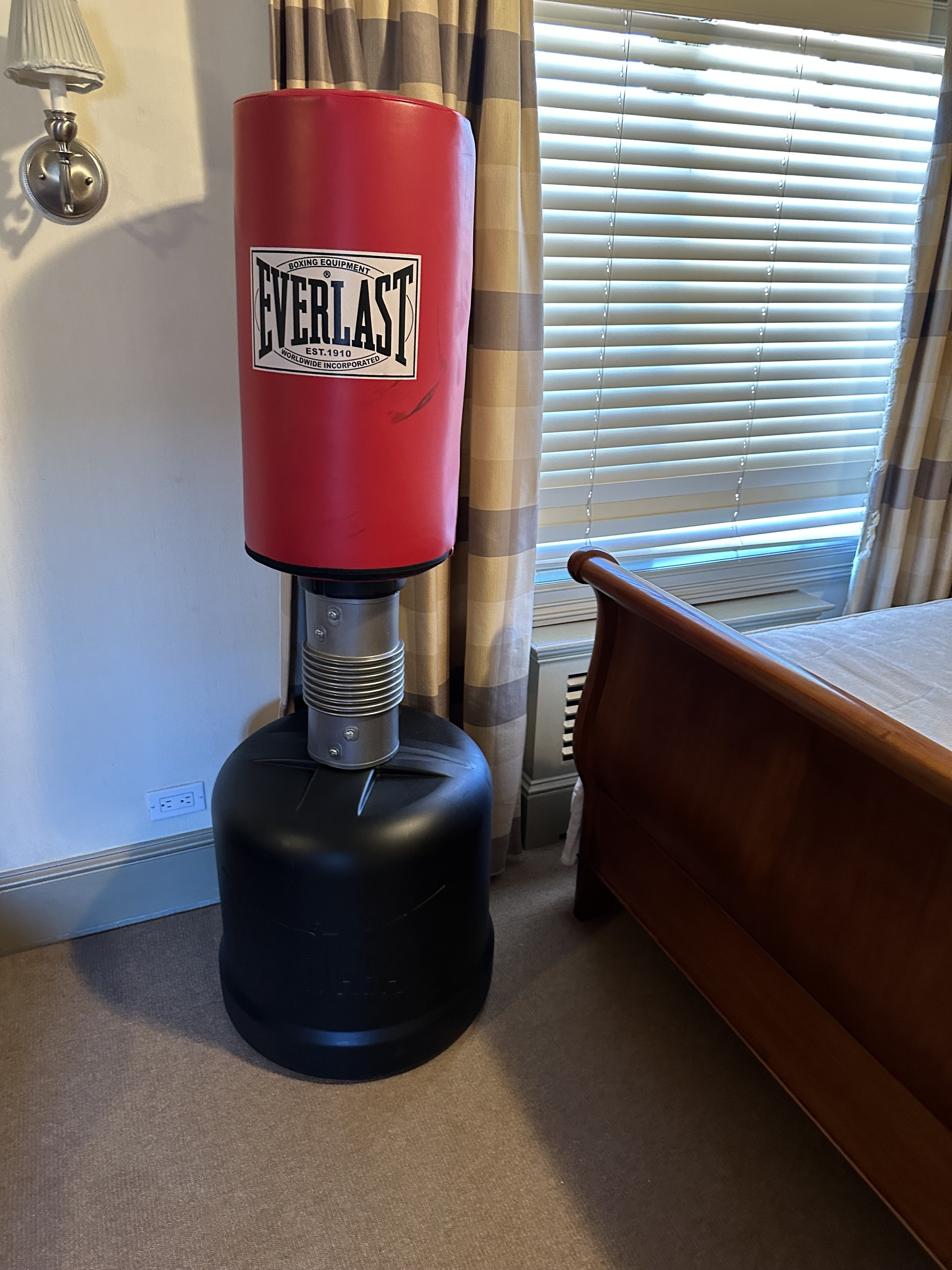 Everlast Punching Bag — Furniture Matchmaker