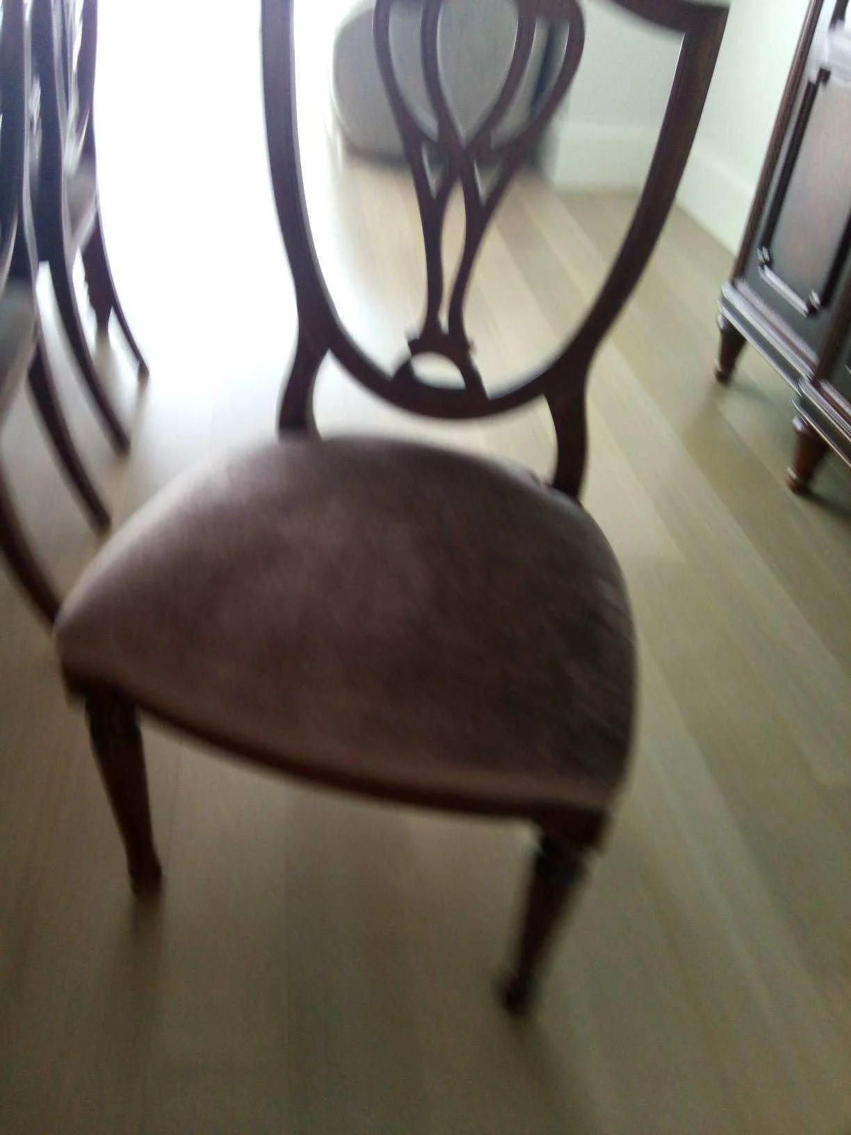 WhatsApp Image 2026-03-11 at 10.20.01 AM.jpeg