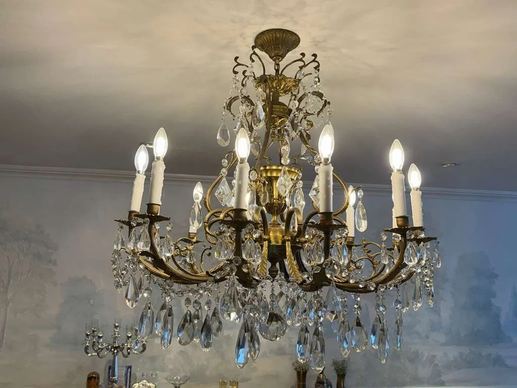 WhatsApp Image 2026-02-10 at 12.50.15 PM.jpeg