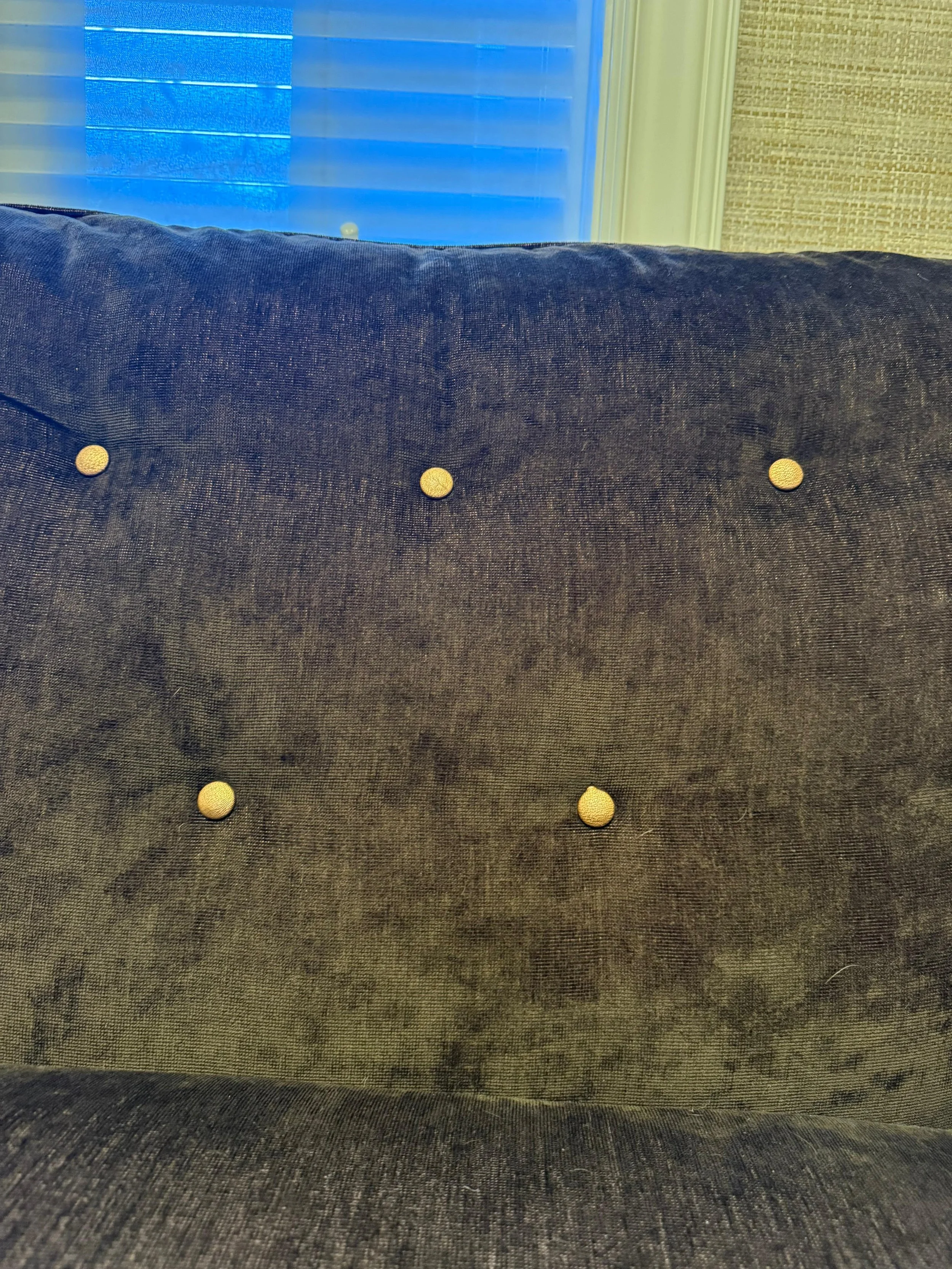 WhatsApp Image 2026-01-08 at 10.25.57 AM (1).jpeg