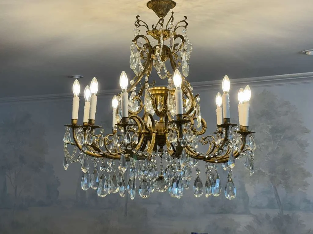 WhatsApp Image 2026-02-10 at 12.49.48 PM.jpeg