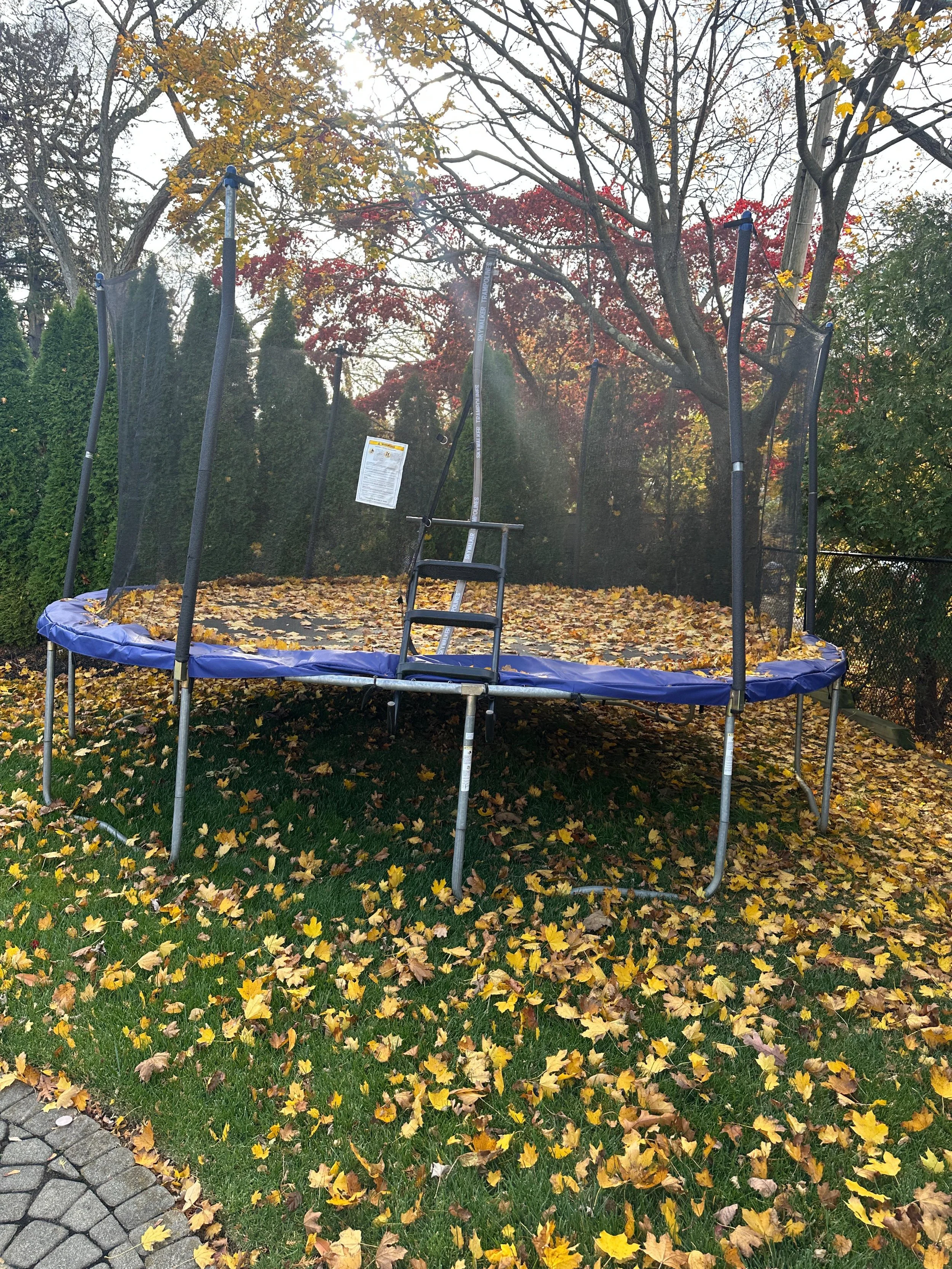 WhatsApp Image 2025-11-12 at 02.50.35_26eccaca.jpg