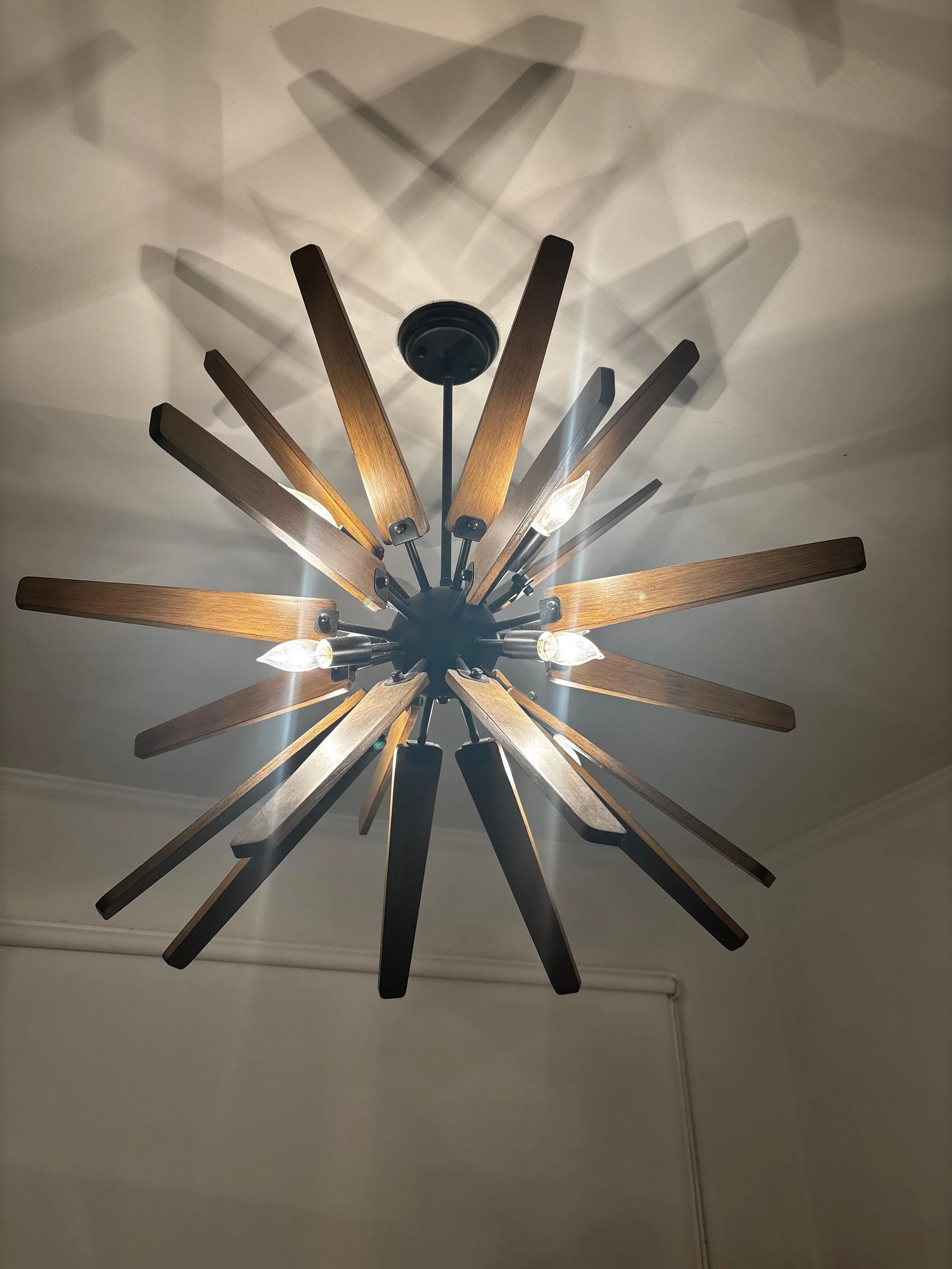 WhatsApp Image 2026-04-17 at 10.34.51 AM.jpeg