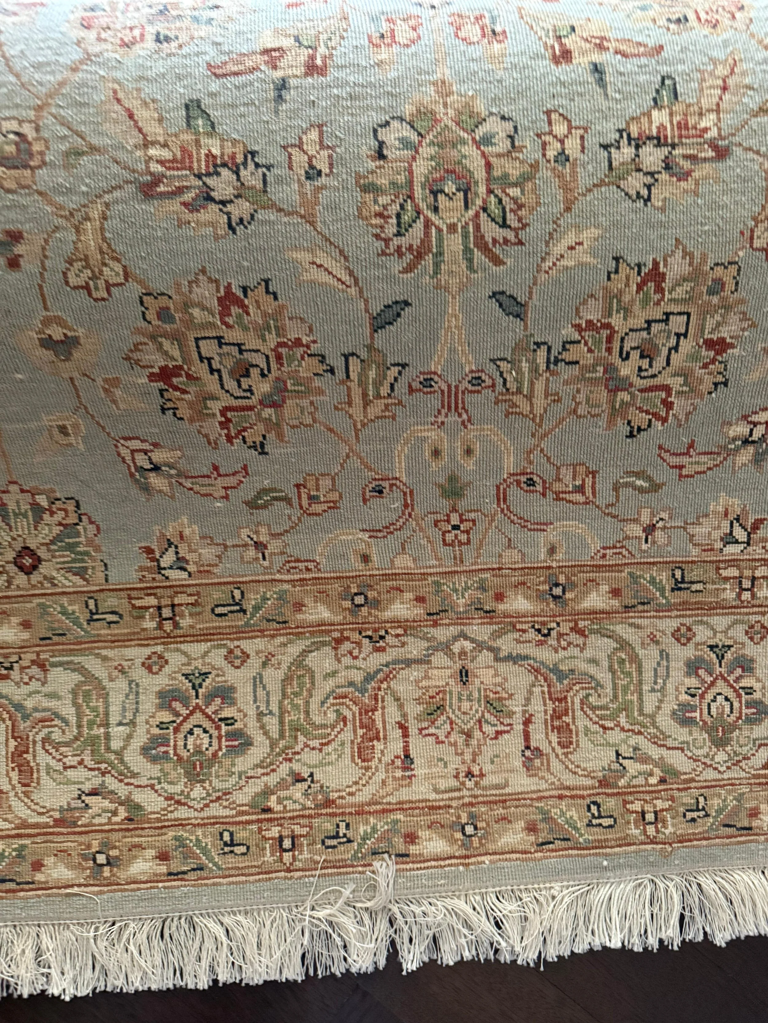 WhatsApp Image 2026-01-08 at 11.39.26 AM.jpeg