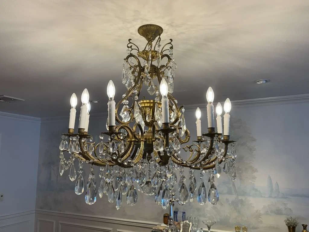 WhatsApp Image 2026-02-10 at 12.50.15 PM (1).jpeg