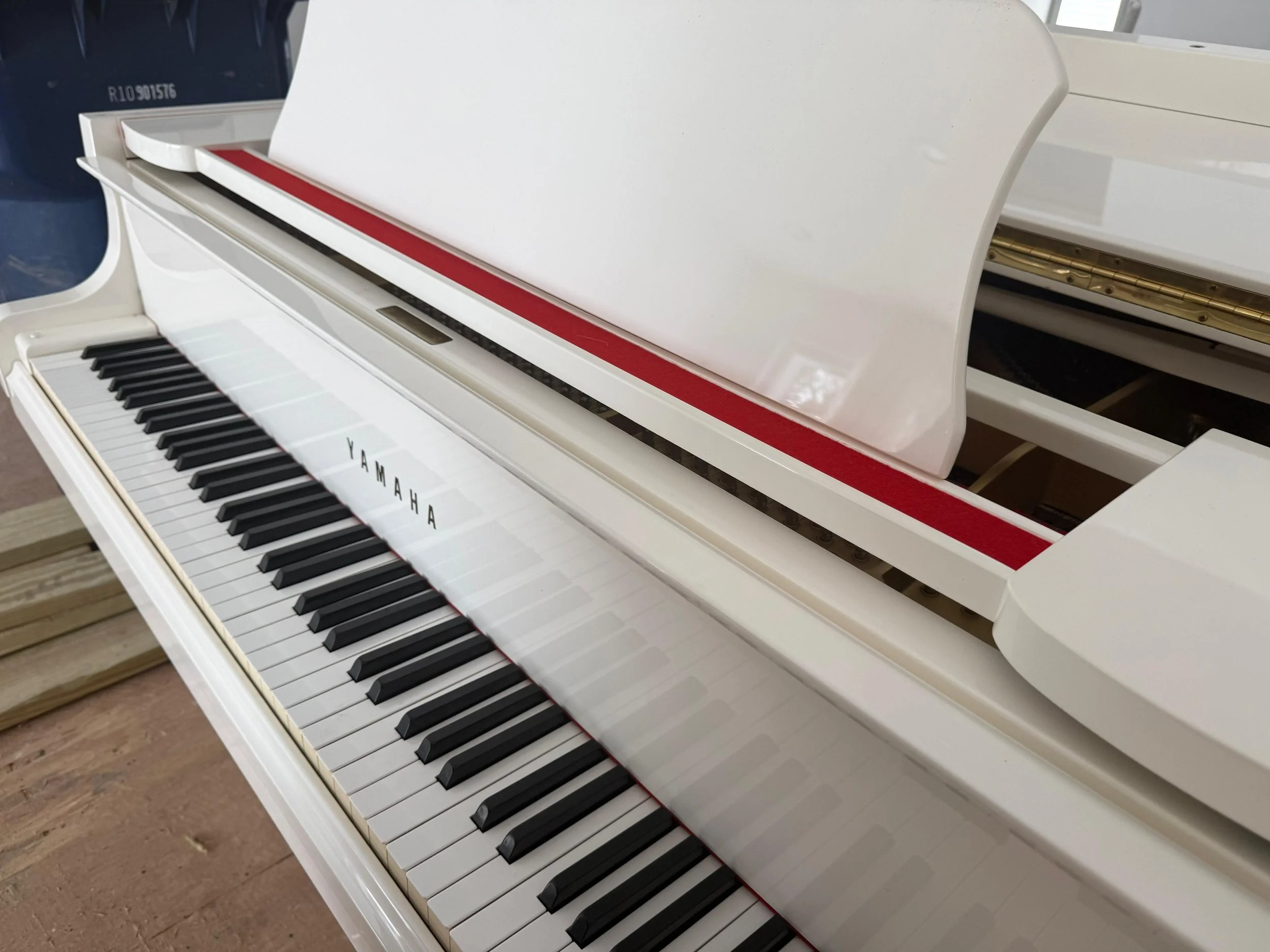 WhatsApp Image 2026-02-16 at 11.38.23 AM (1).jpeg