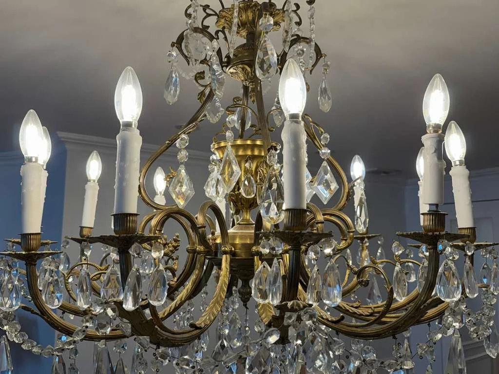 WhatsApp Image 2026-02-10 at 12.50.16 PM.jpeg