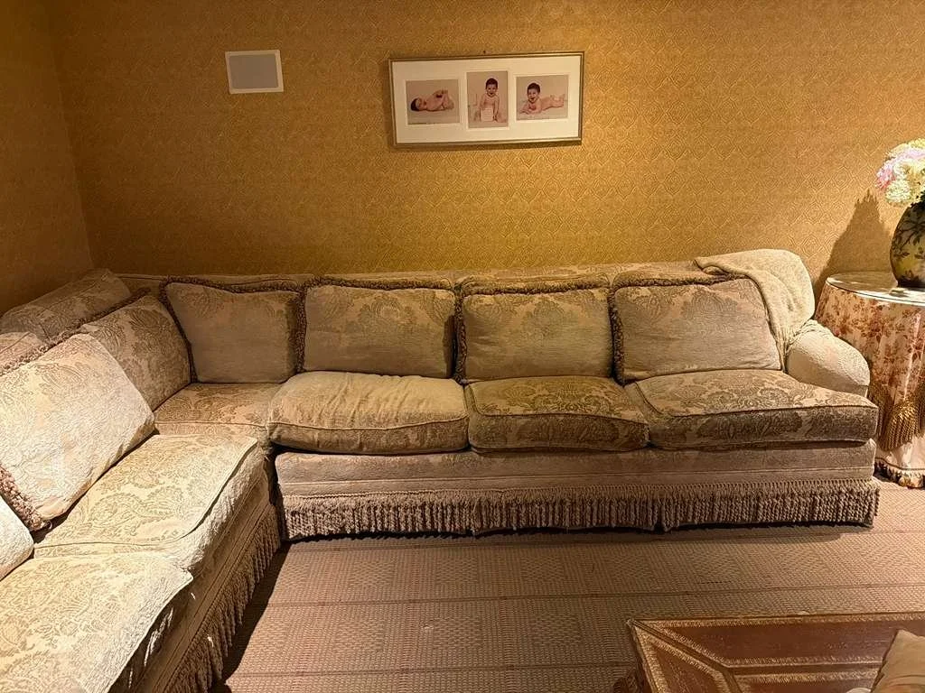 WhatsApp Image 2026-02-11 at 12.10.27 PM (3).jpeg