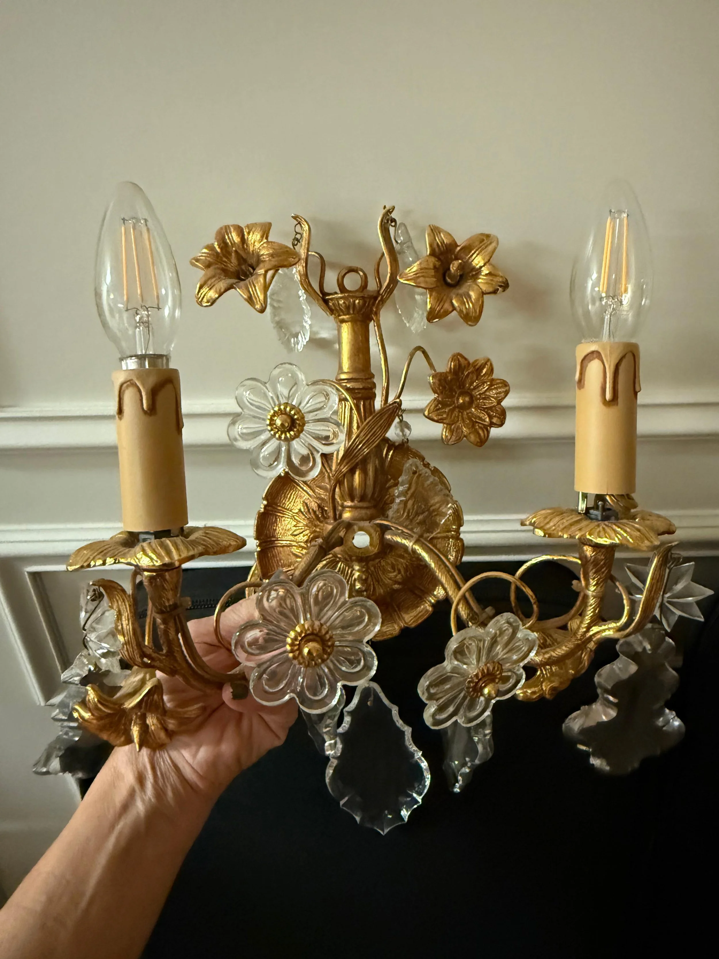 WhatsApp Image 2026-02-10 at 1.23.36 PM.jpeg