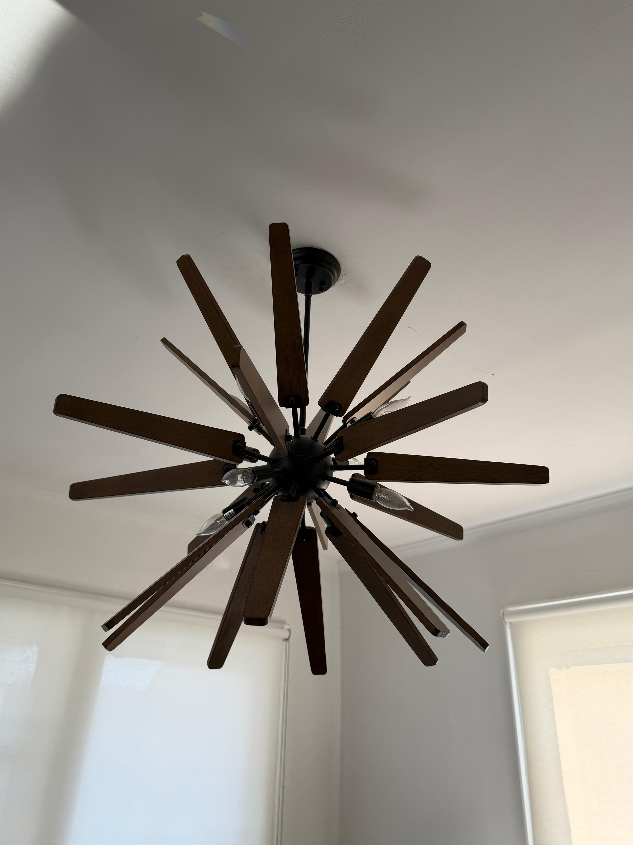 WhatsApp Image 2026-04-17 at 10.34.50 AM.jpeg